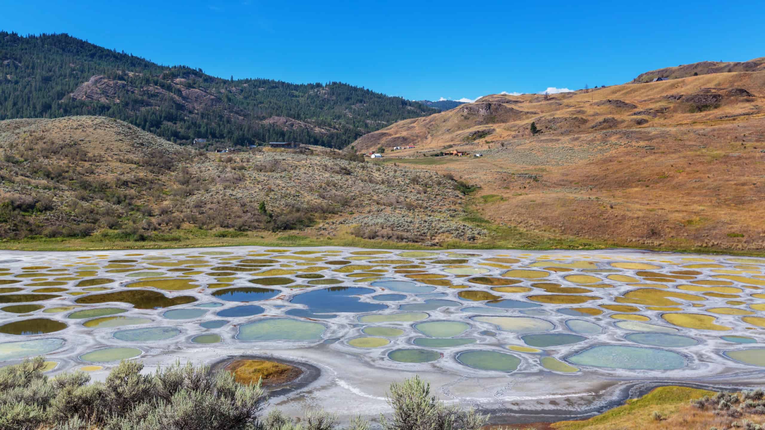 Spotted Lake in British Columbia, Canada