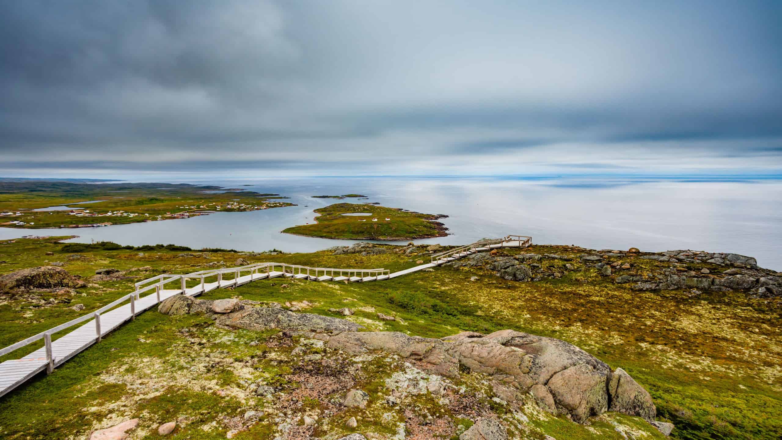 Boardwalk in coastal tundra landscape near town of Red Bay, Labrador, Province of Newfoundland and Labrador, NL, Canada