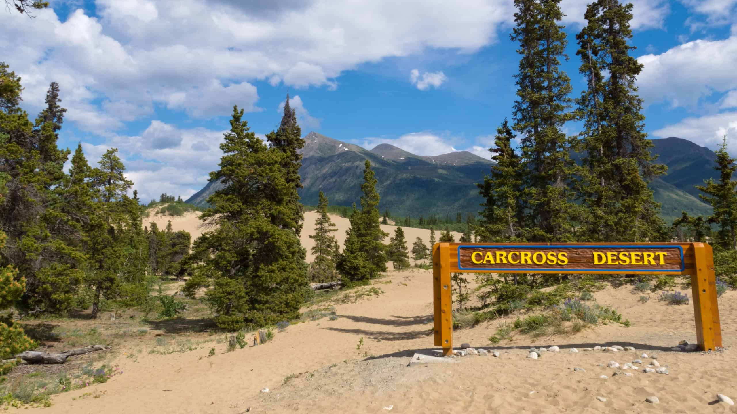 Carcross desert unique drifting sand dunes in boreal forest taiga of Yukon Territory Canada form a beautiful landmark and tourist attraction