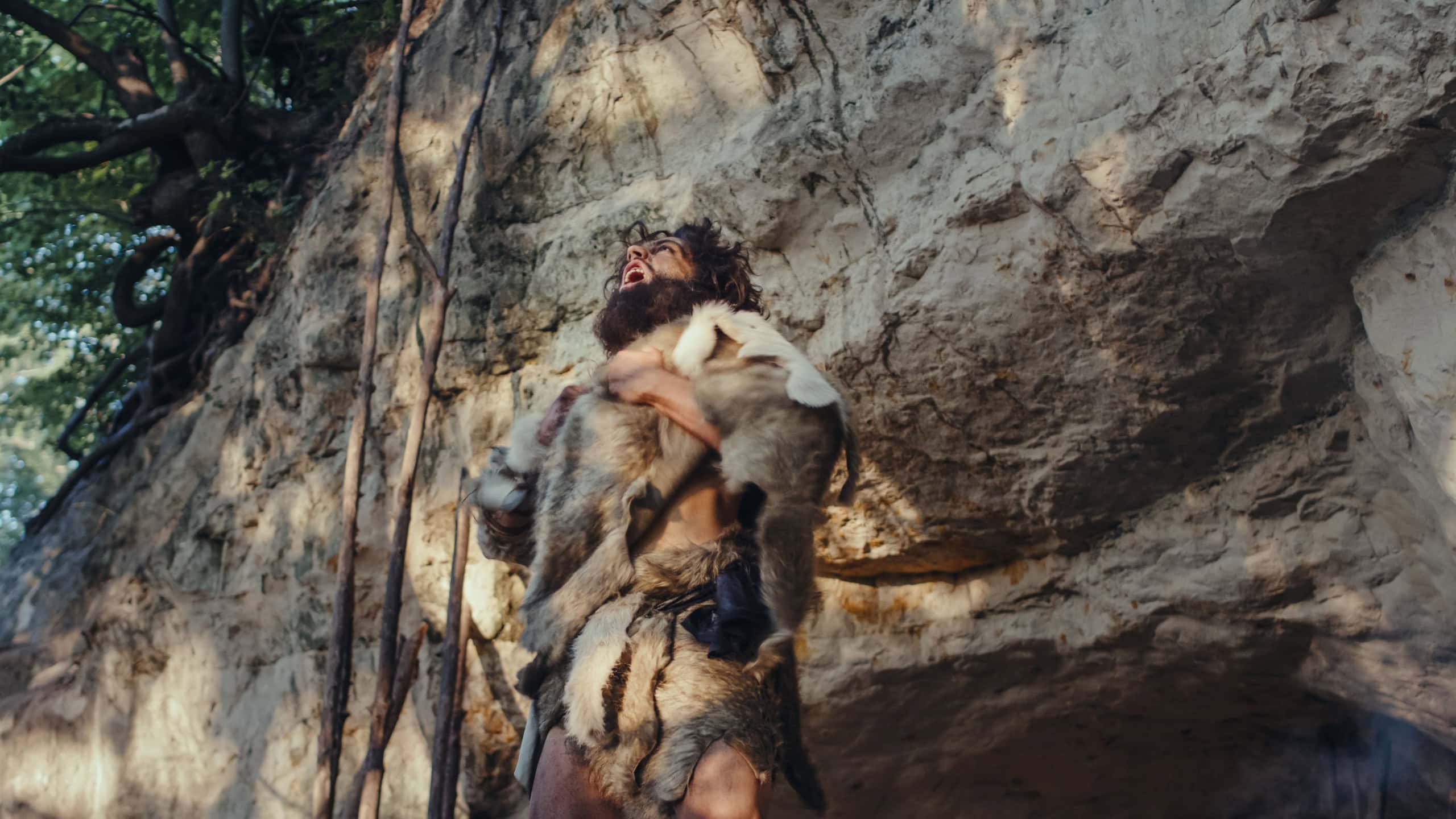 Portrait of Primeval Caveman Wearing Animal Skin Does Aggressive Chest Beating and Screaming, Defending His Cave and Territory in the Prehistoric Forest. Prehistoric Neanderthal or Homo Sapiens Leader