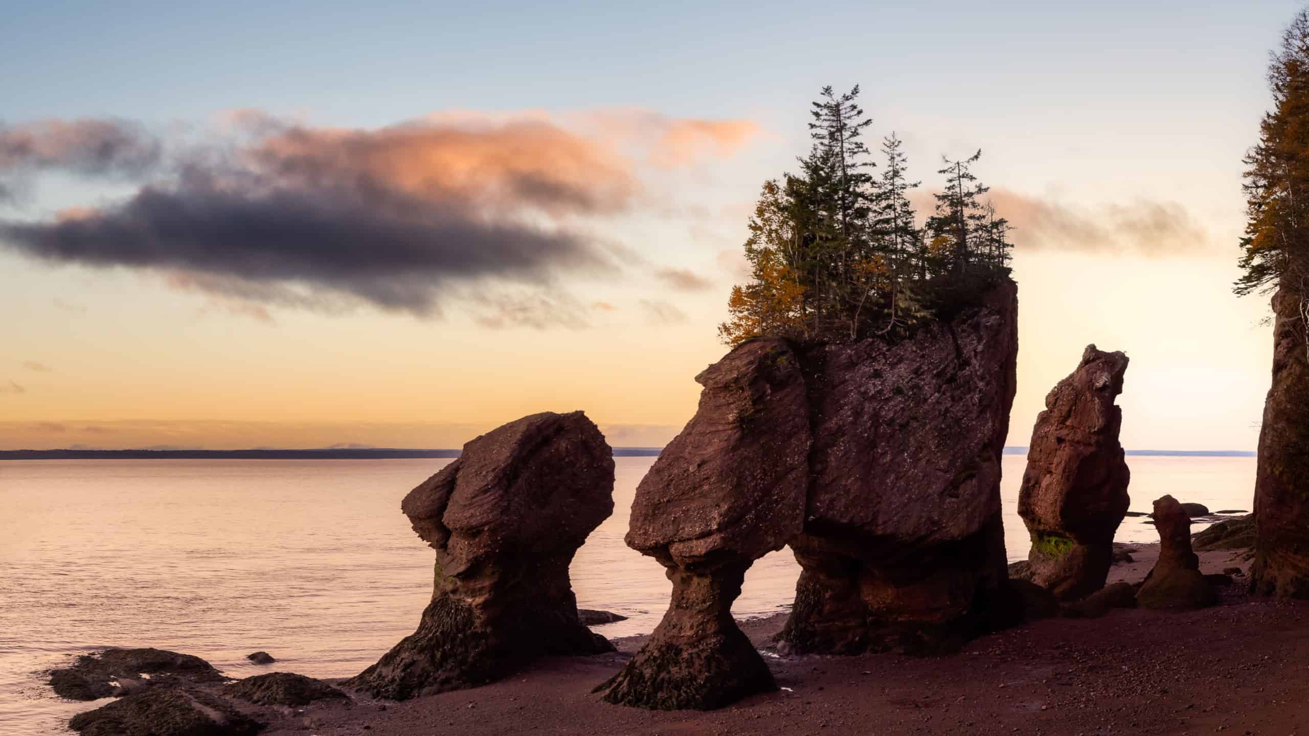Panoramic view of Cape Rocks during a vibrant sunrise. Colorful Sky Art Render. Taken in Hopewell Rocks Park, New Brunswick, Canada.