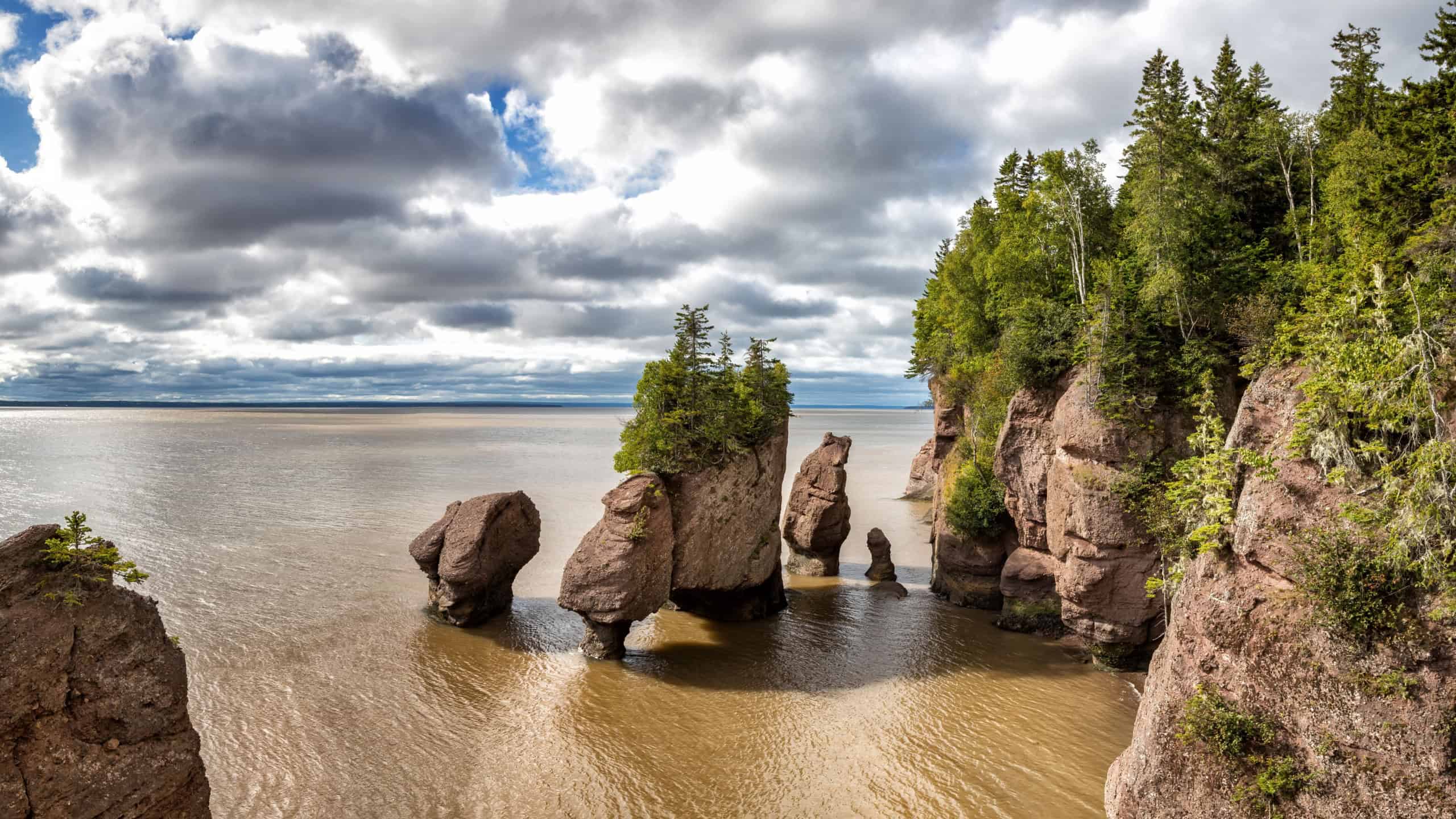The Hopewell, or Flowerpot Rocks in the Bay of Fundy, New Brunswick, Canada. The area has two tides a day and one of the highest average tides in the world, averaging 16metres.