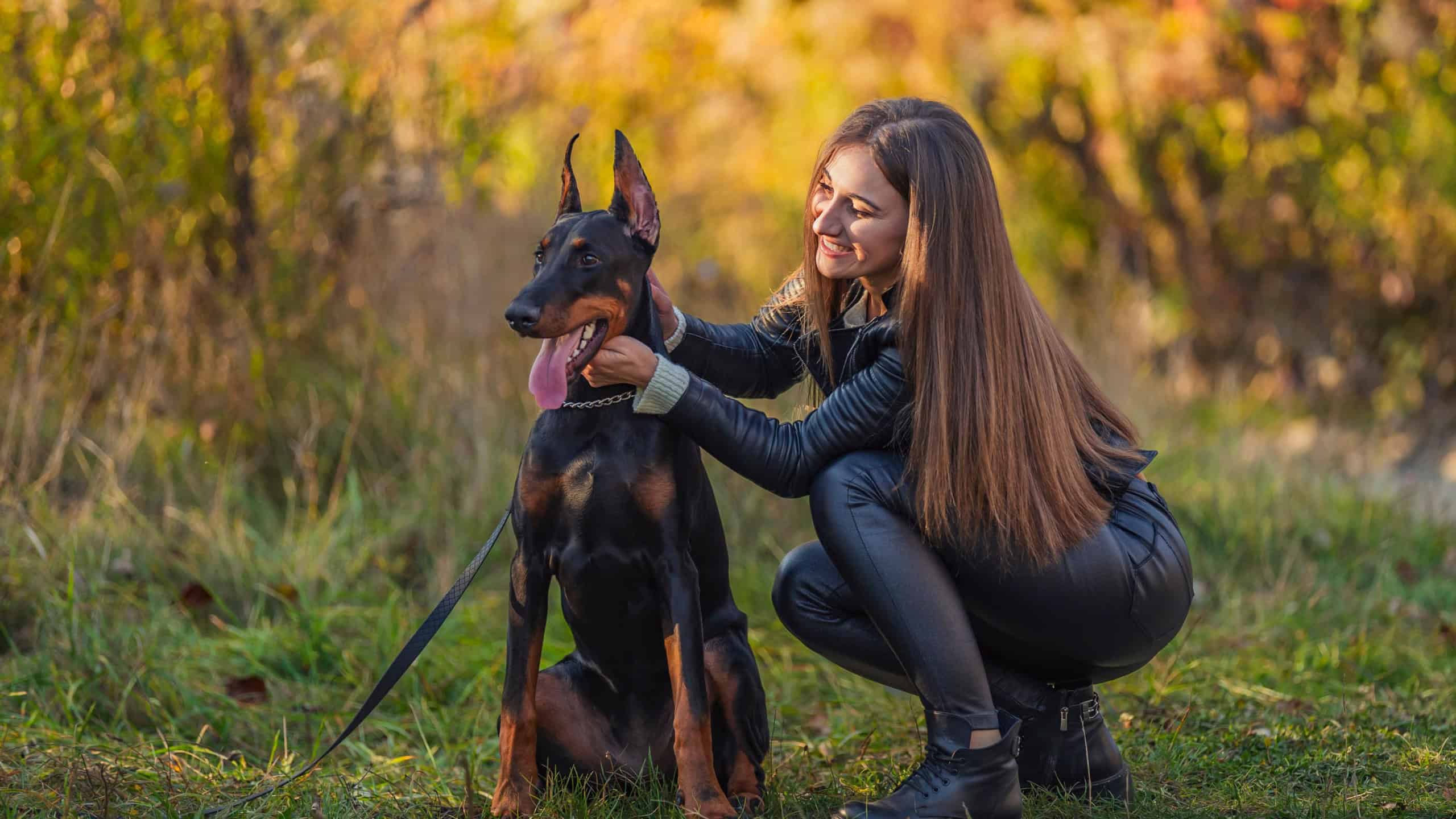 girl sitting near a doberman dog breed in nature