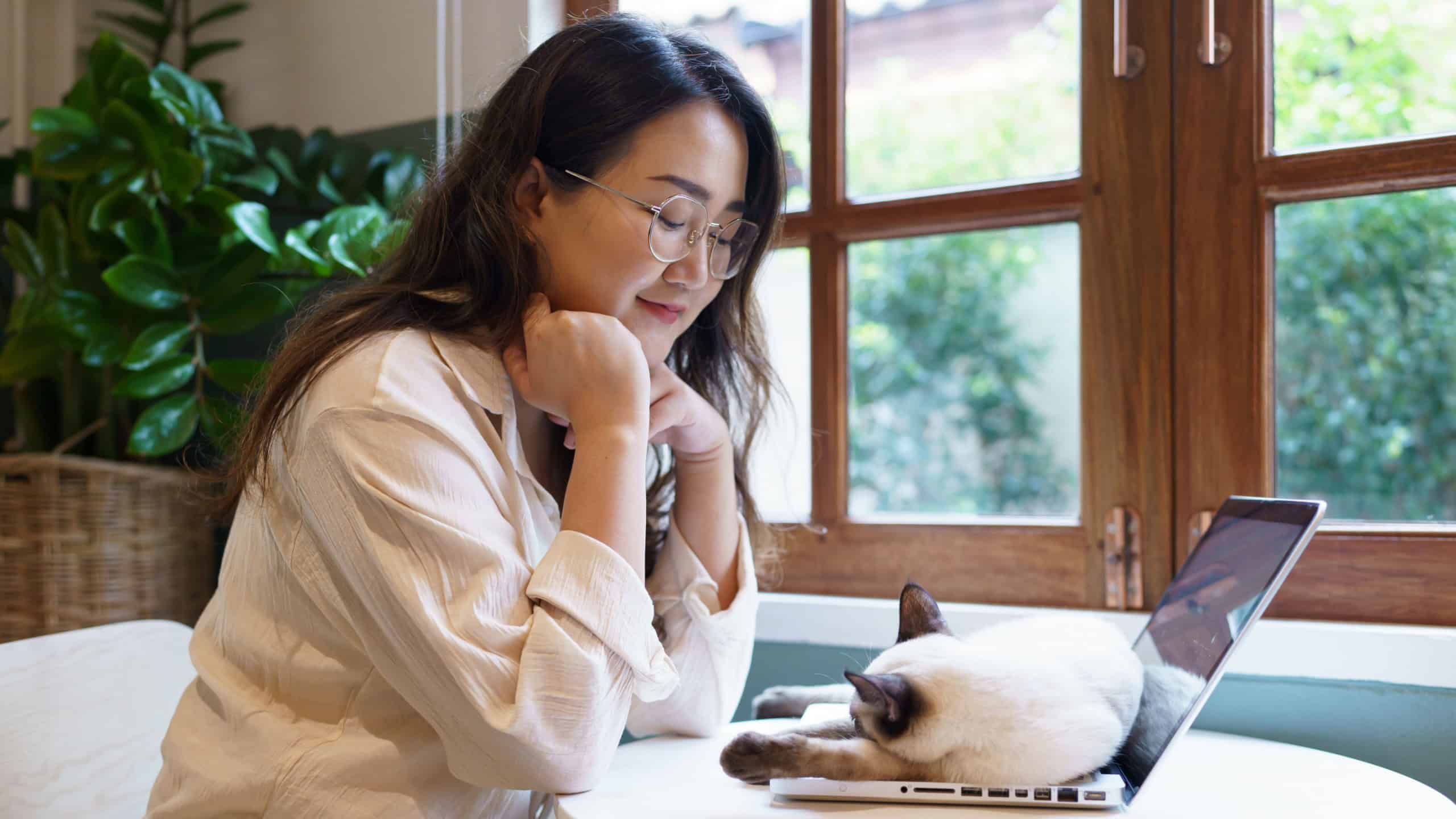 Happy Young Woman With Cat On Lap Texting And Websurfing Via Mobile Phone, Researching Pet Care Information About Cats Care, Nutrition, and Online Health Tips Sitting On Couch At Home