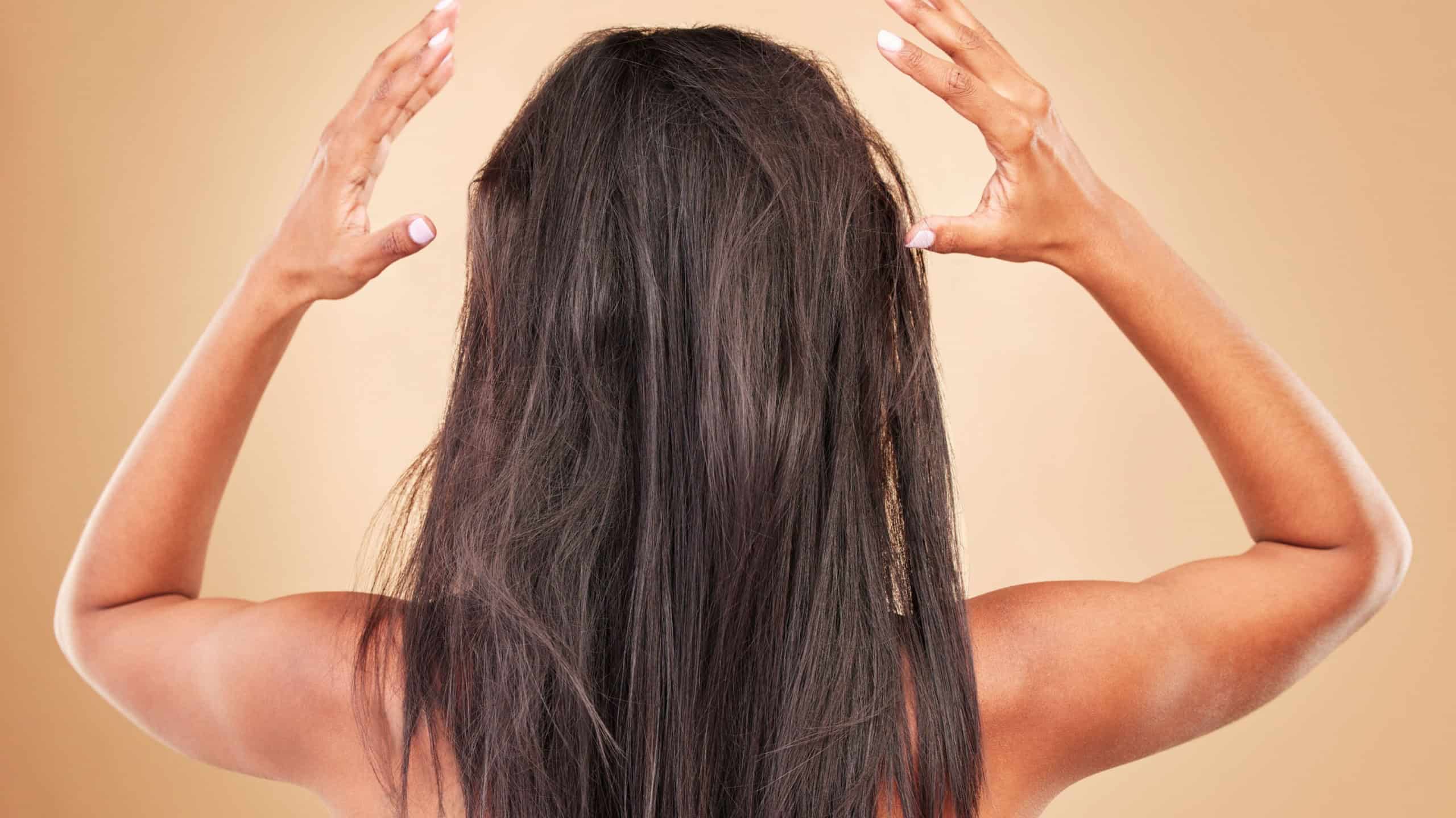 Damaged, hair and back of messy woman in studio, background or haircare for tangled, brittle or frizzy hairstyle. Repair, beauty and person in salon or spa for treatment to restore healthy texture