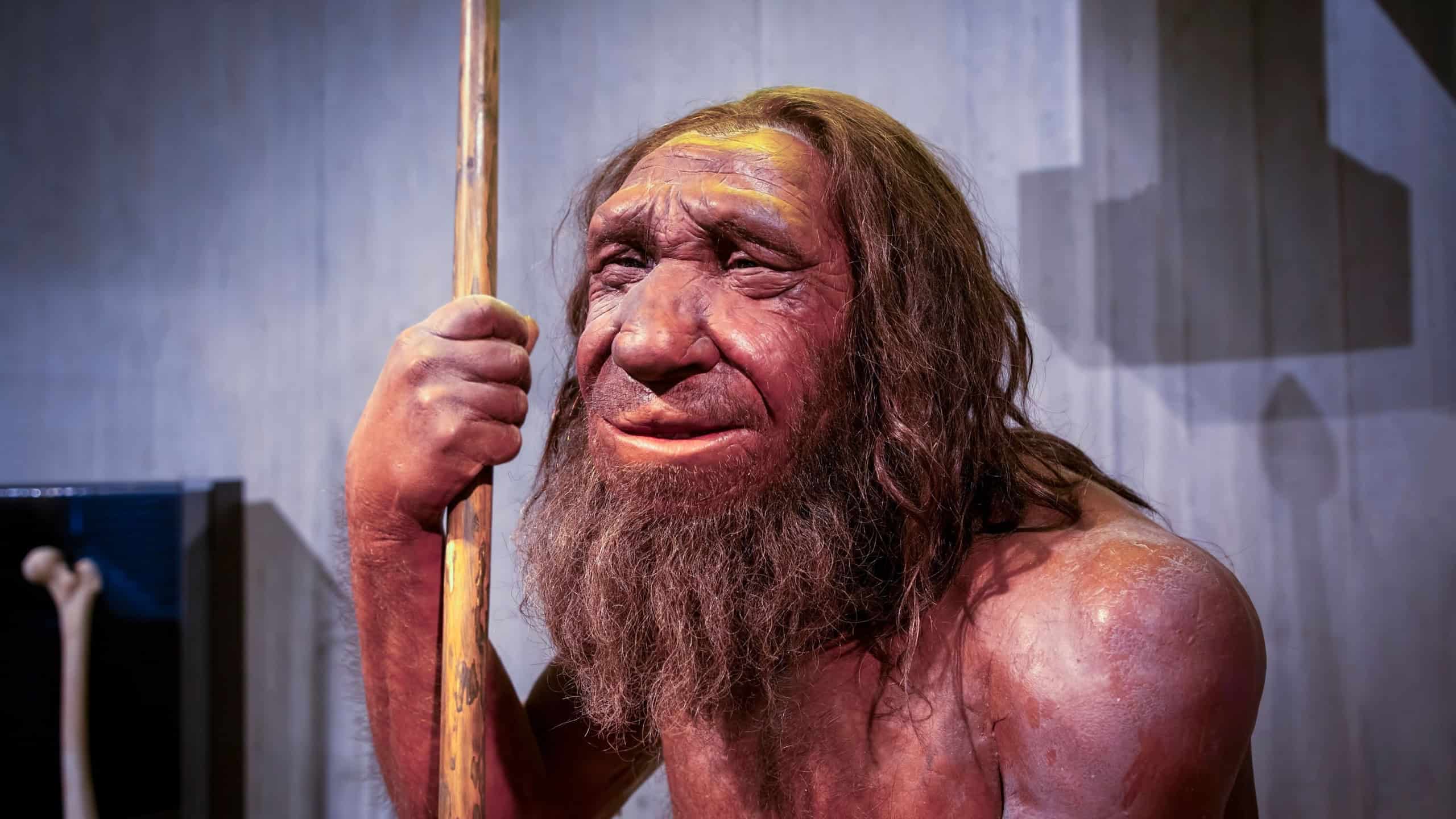 Dusseldorf, Germany, February 16, 2024,  Neanderthal Museum