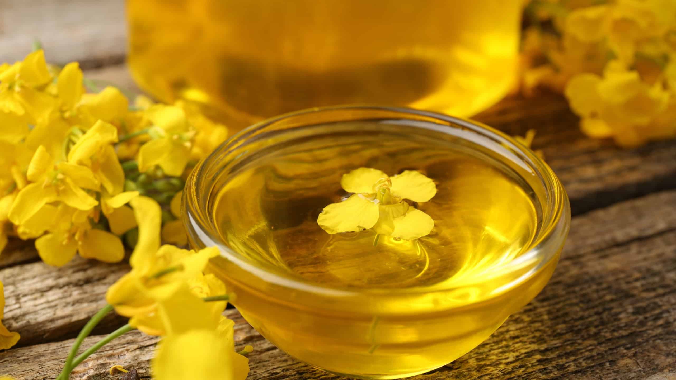 Rapeseed oil in glass bowl and beautiful yellow flowers on wooden table, closeup