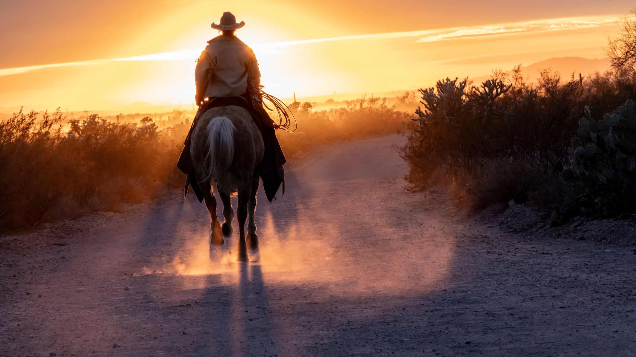 Silhouette of ranch hand, or cowboy, riding his horse in the sunset.