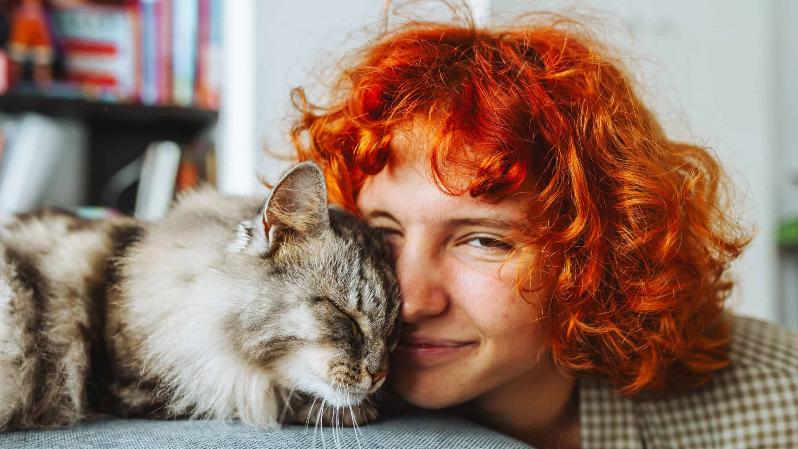 portrait red-haired attractive young woman with fluffy big cat hugging. display of tenderness, purring big cat. friendship with pet