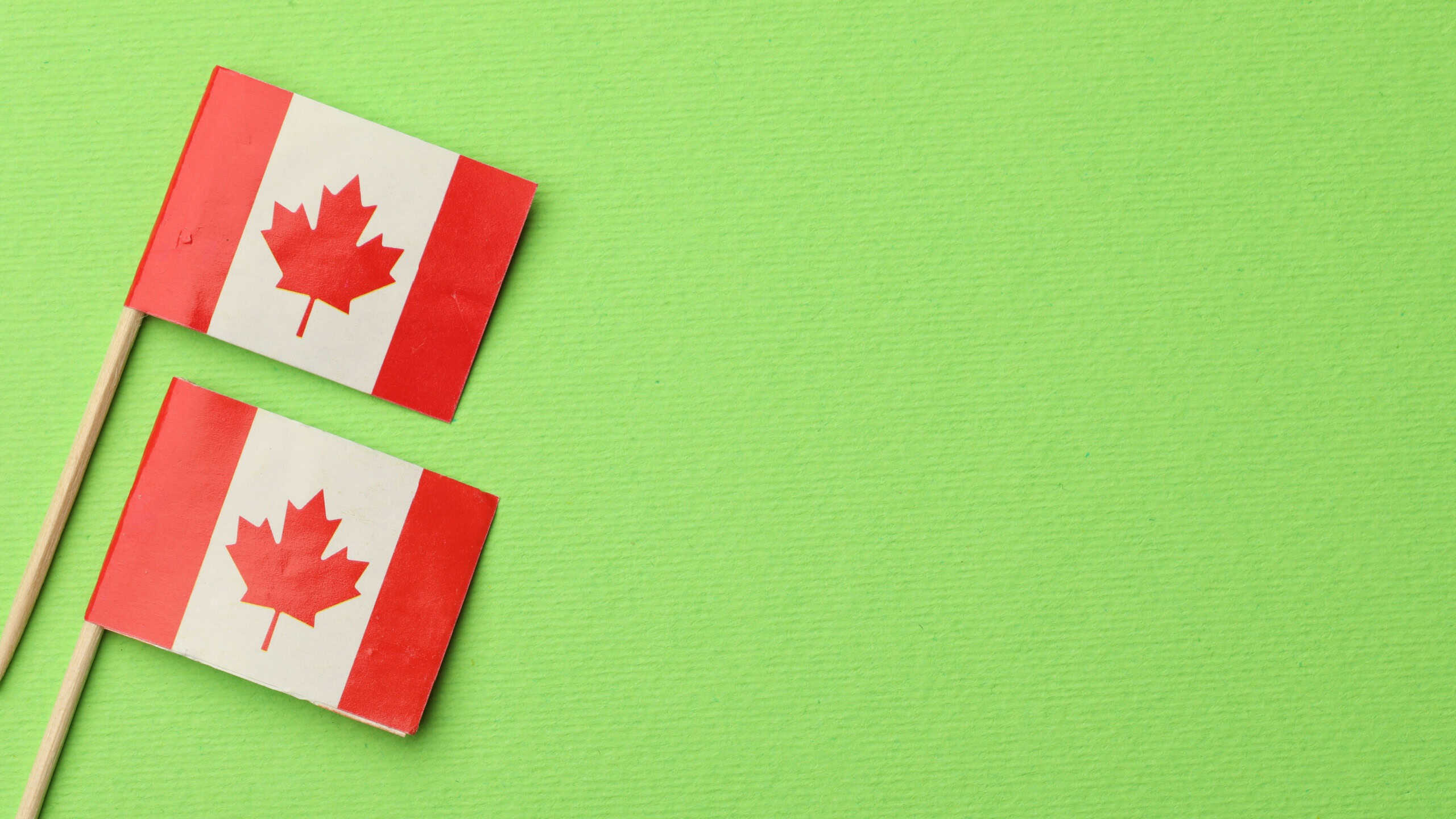 Small paper flags of Canada on green background, top view. Space for text