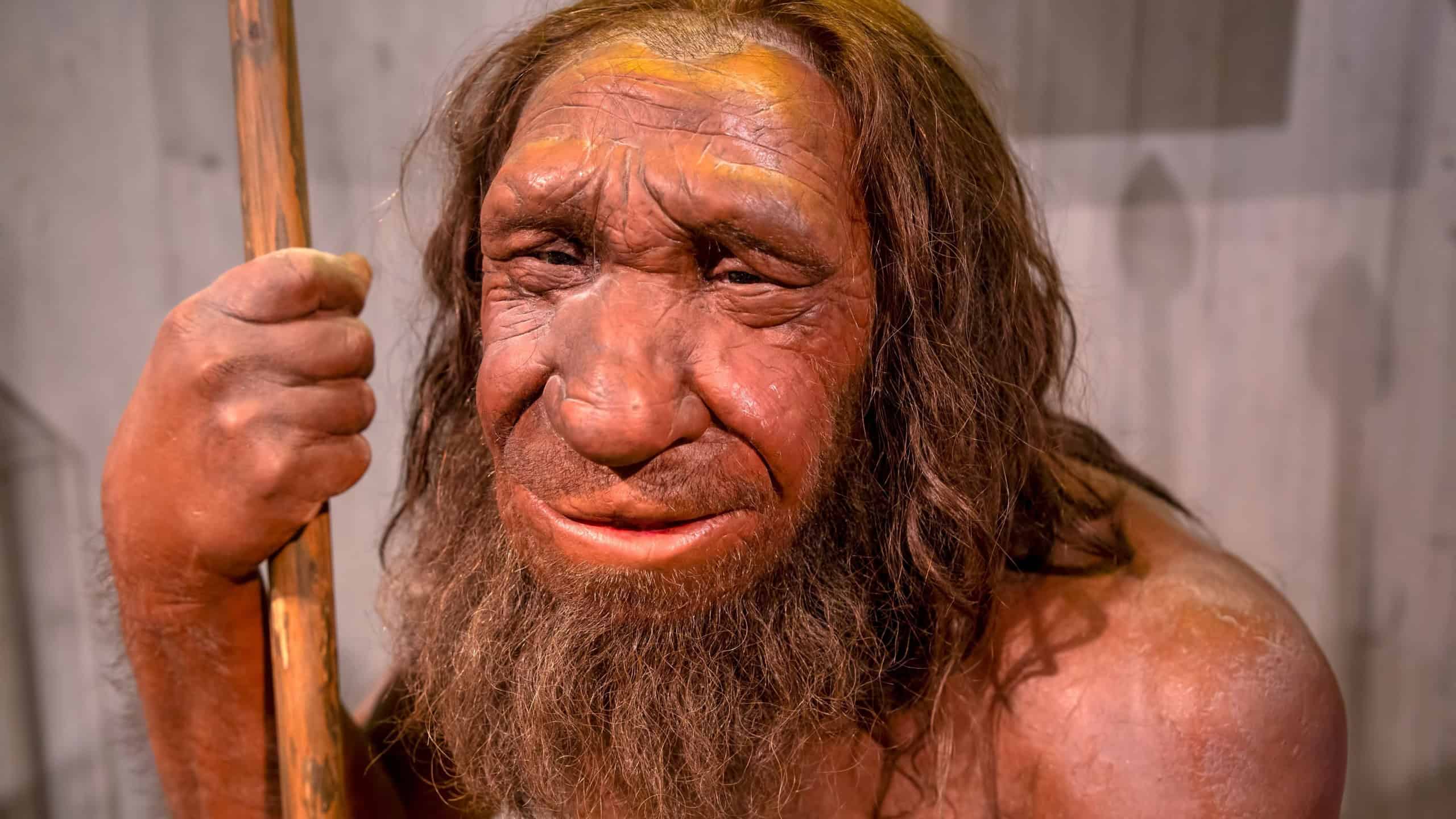 Dusseldorf, Germany, February 16, 2024, Neanderthal Museum