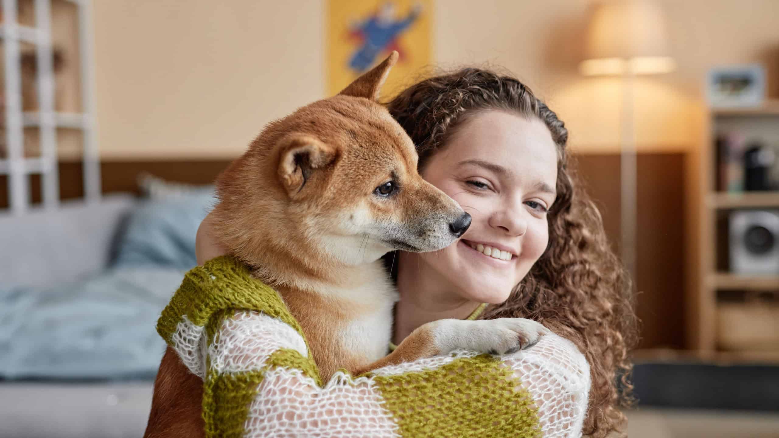 Portrait of cheerful young woman hugging cute red Shiba Inu dog while posing together in front of camera in bright room at home, copy space
