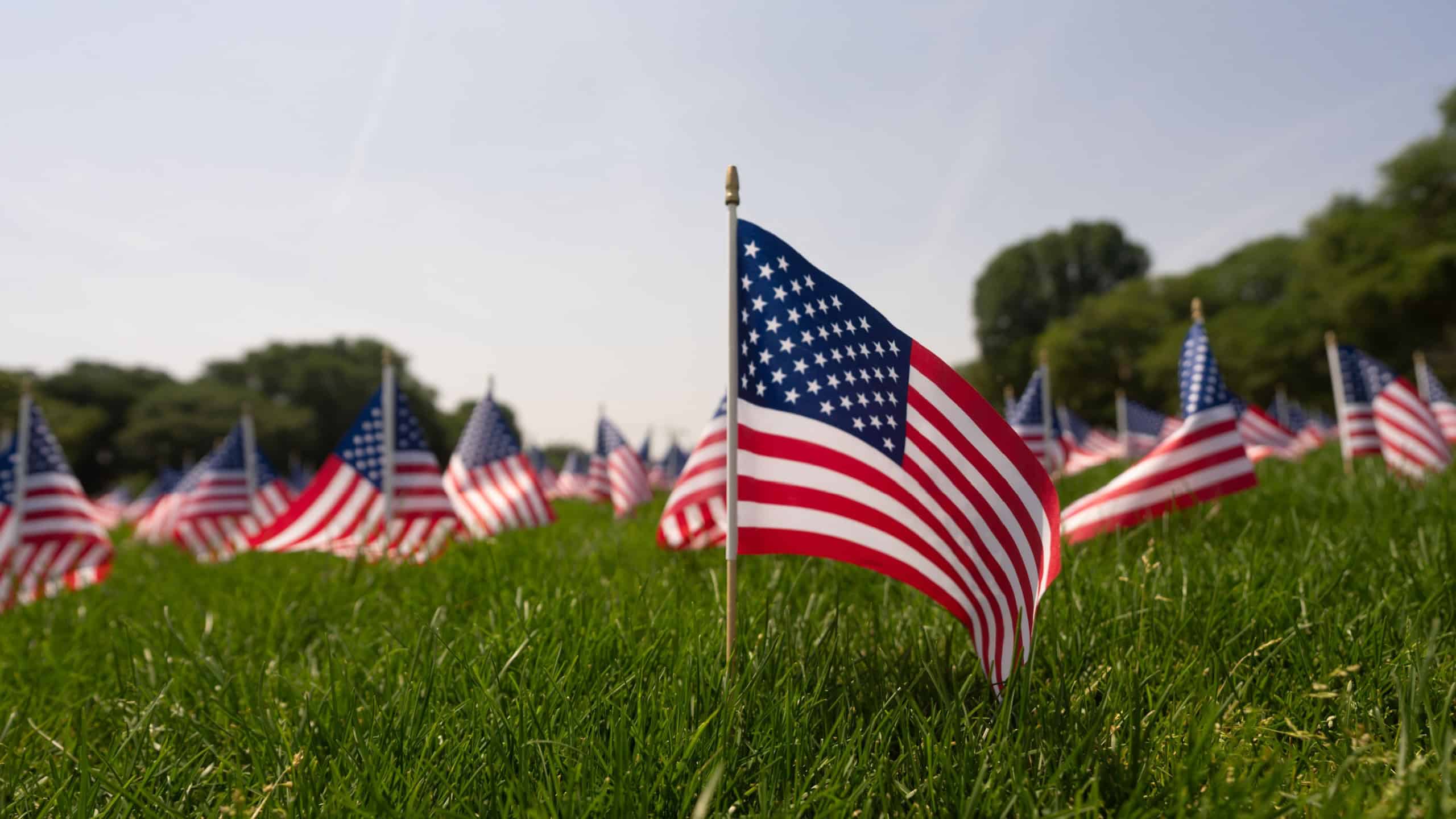 US flag background. American flag waving. Patriotic celebration on 4th of July. Independence Day. American flags on grass. USA banner. Memorial Day. USA flags. United States flag in park.