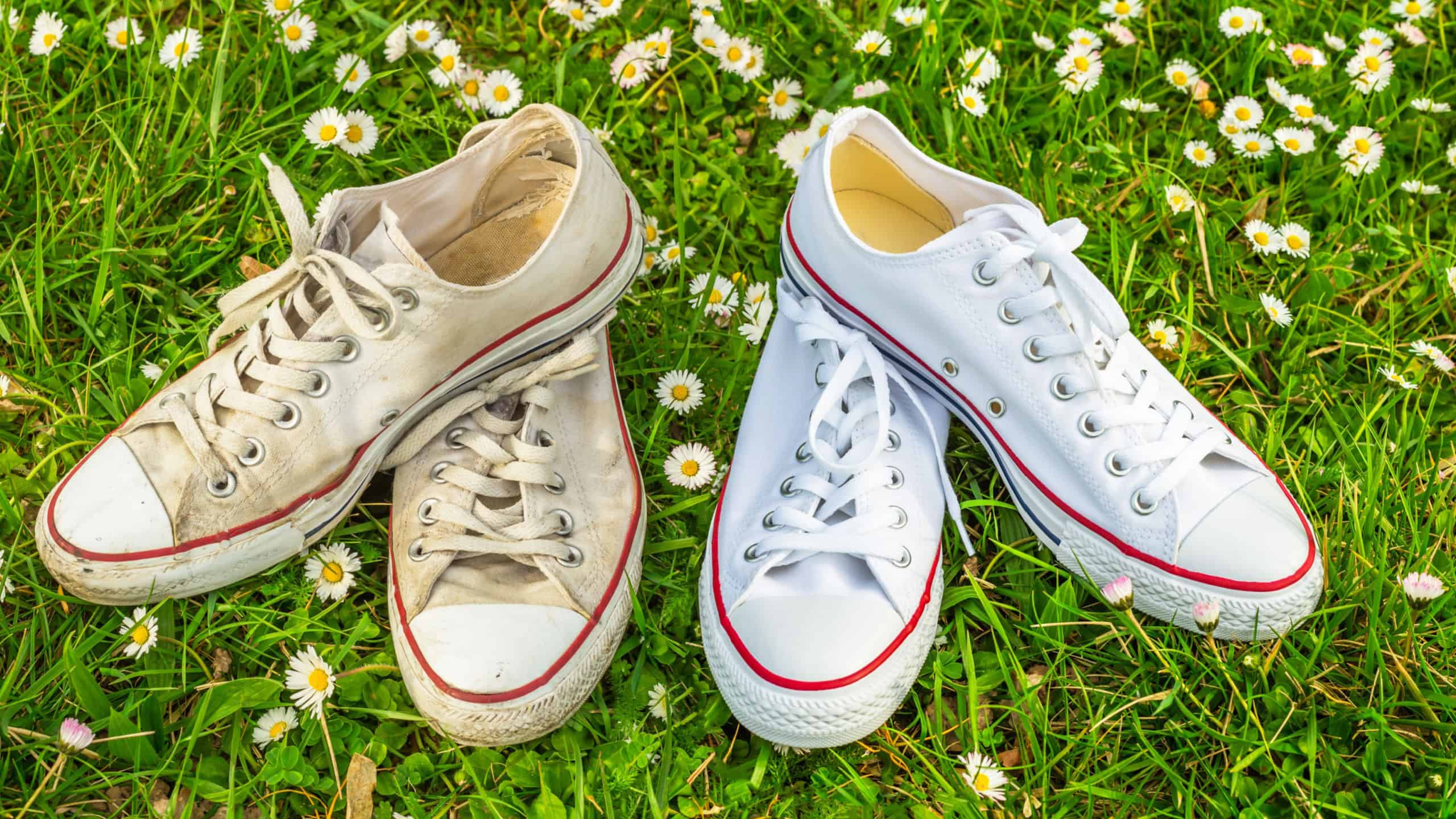 New and old white sneaker chucks shoes. Fashion Shoes Background. Old dirty sneakers vs new white sneakers on green grass background. Trendy footwear, closeup