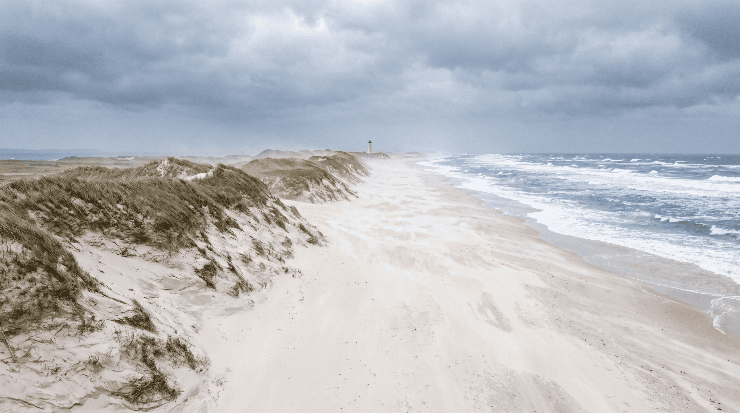 Sandy Hook Beach