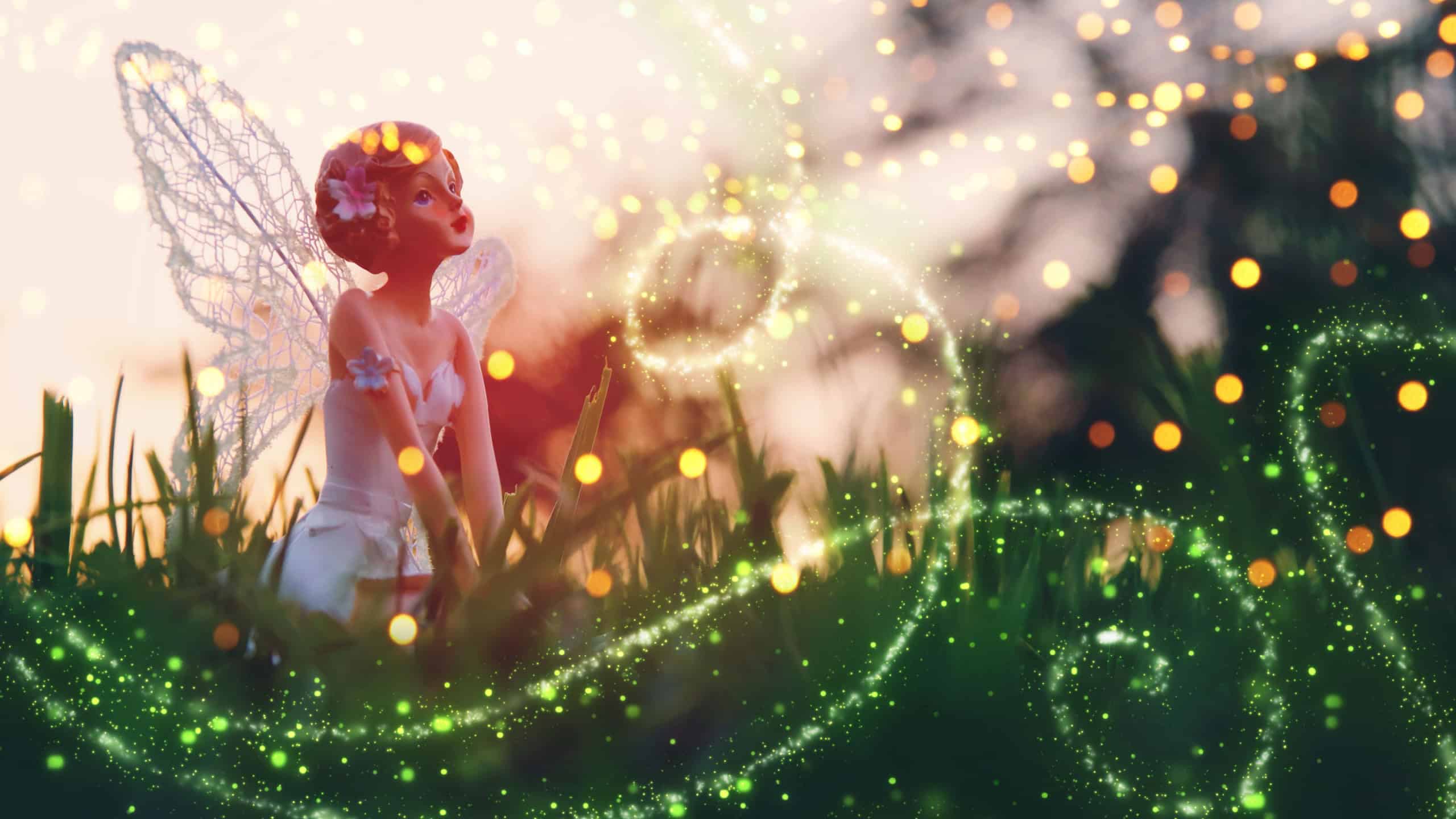 Image of magical little fairy in the forest at sunset