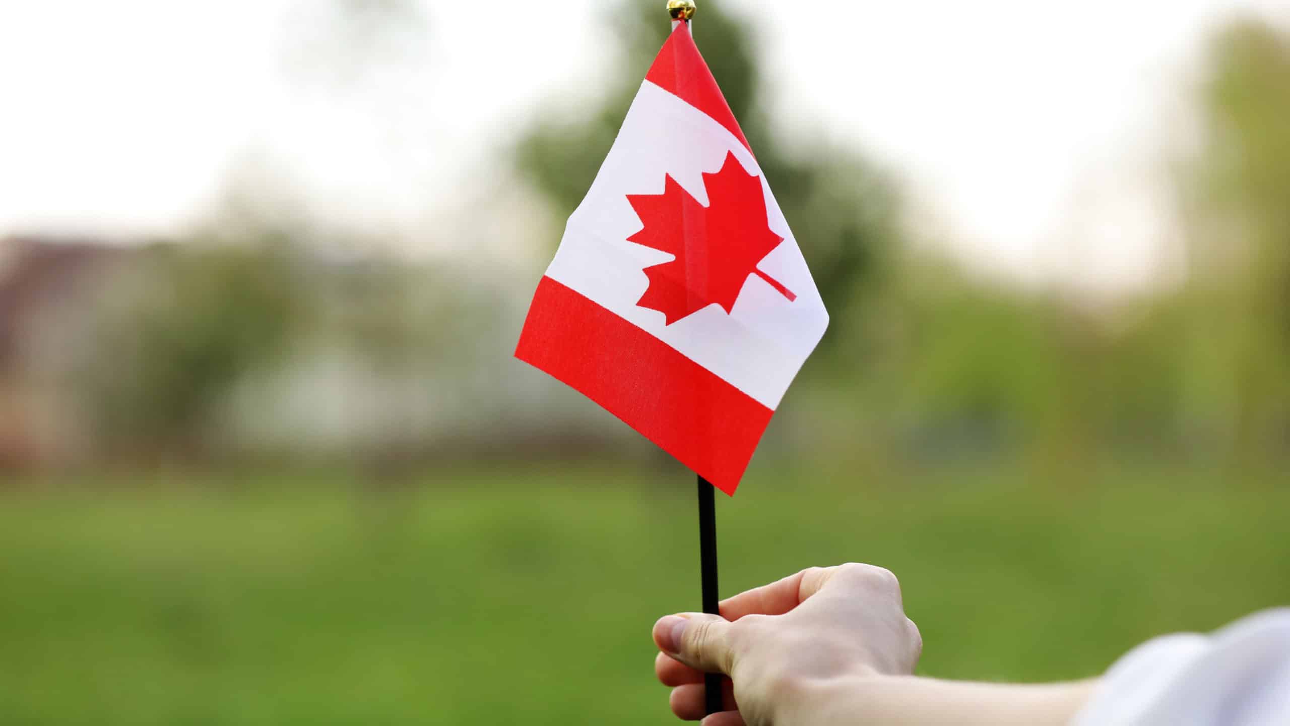 Flag of Canada, National symbol waving against, sunny day. Canada flag in woman hand. selective focus