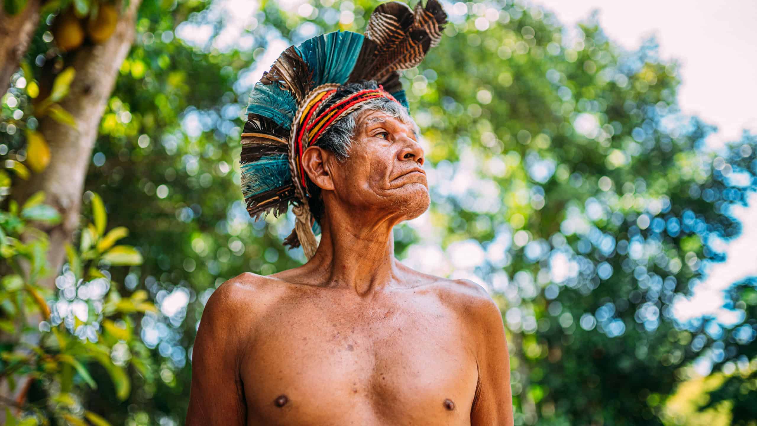 Indian from the Pataxó tribe, with feather headdress. Elderly Brazilian Indian looking to the right