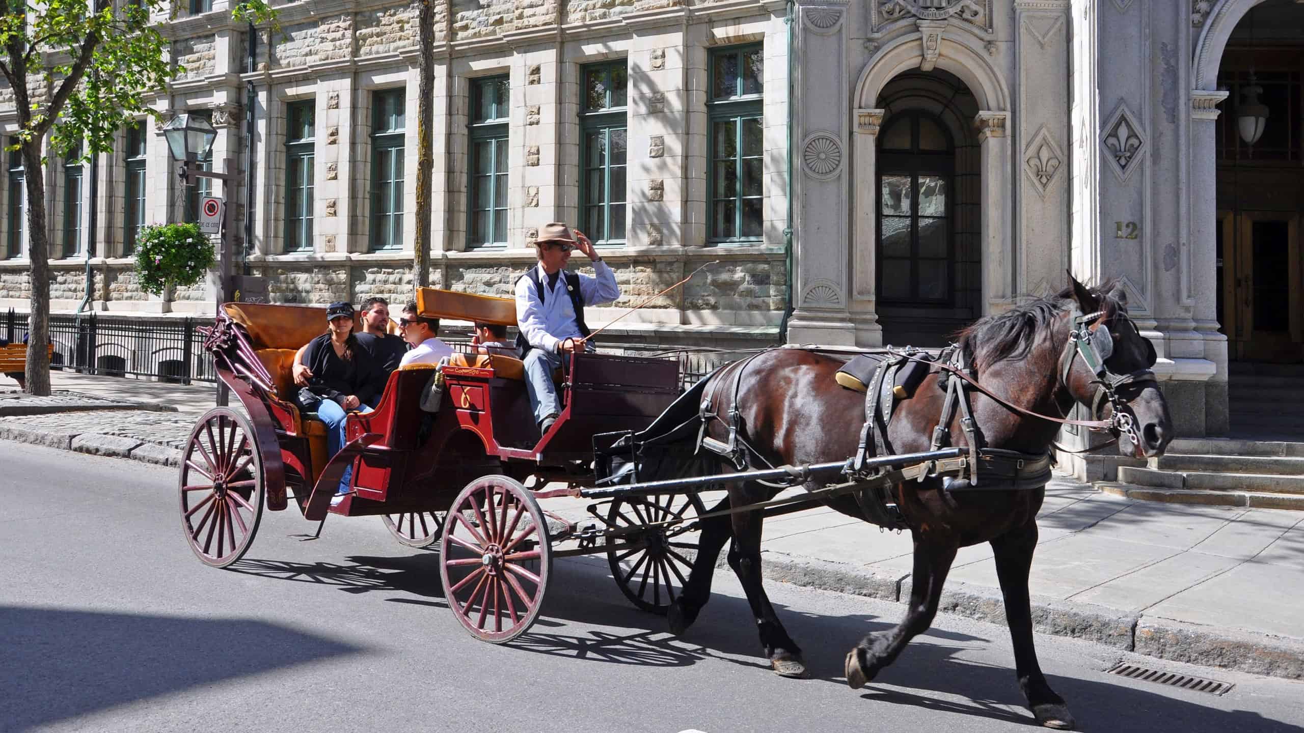 QUEBEC CITY - SEP. 10, 2011: Horse drawn carriage tour on Rue Saint-Louis Street in Old Quebec City World Heritage Site, Quebec QC, Canada. 