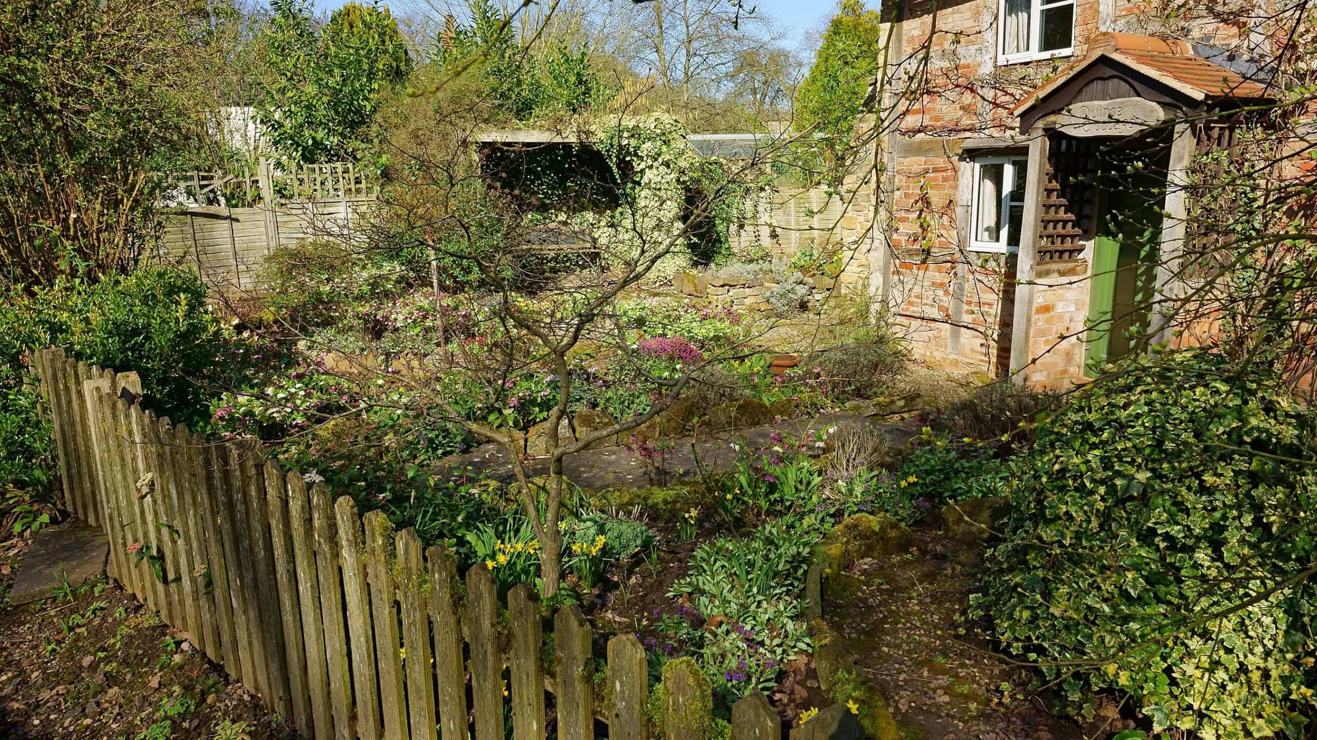 Dymock, Gloucestershire, UK, March 13th, 2017, early spring sunshine and a cottage garden just starting to show growth.