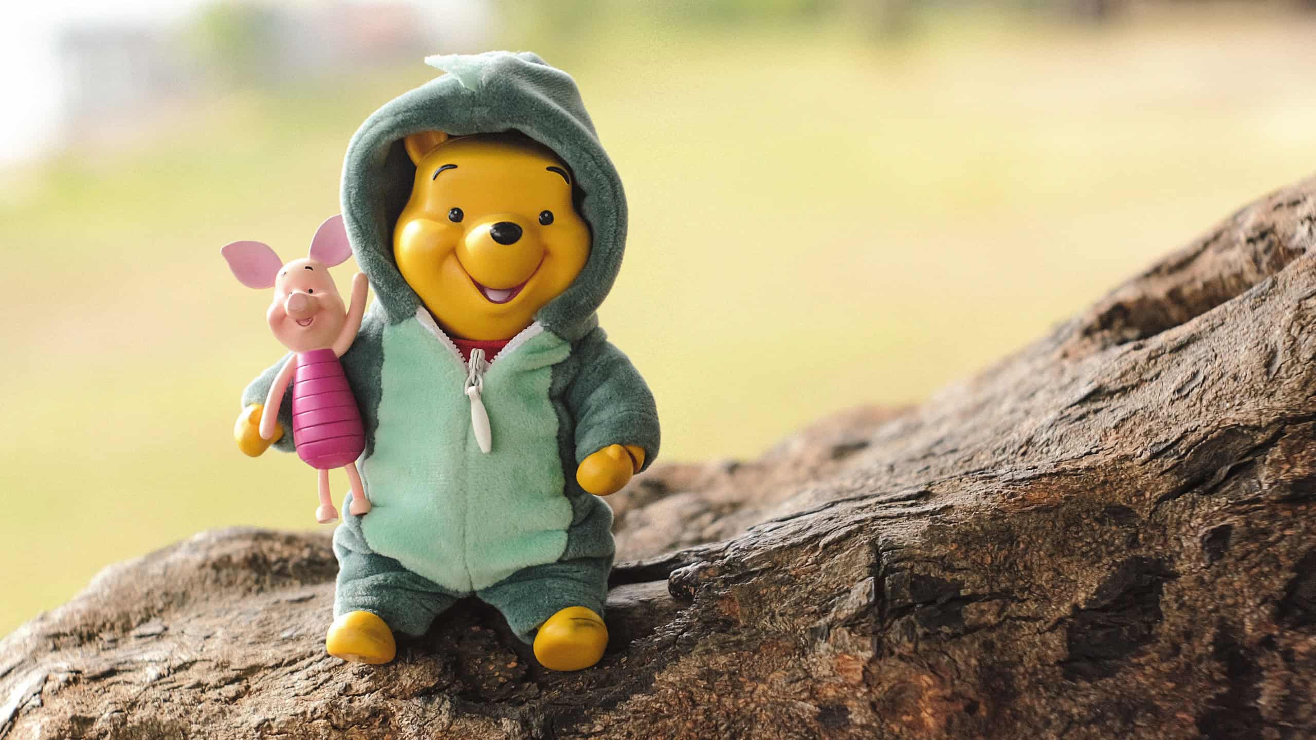 Winnie the Pooh and piglet sitting on stone nature background. Feeling relax and fresh.This figure by disney Pixar inc. filter gain vintage style