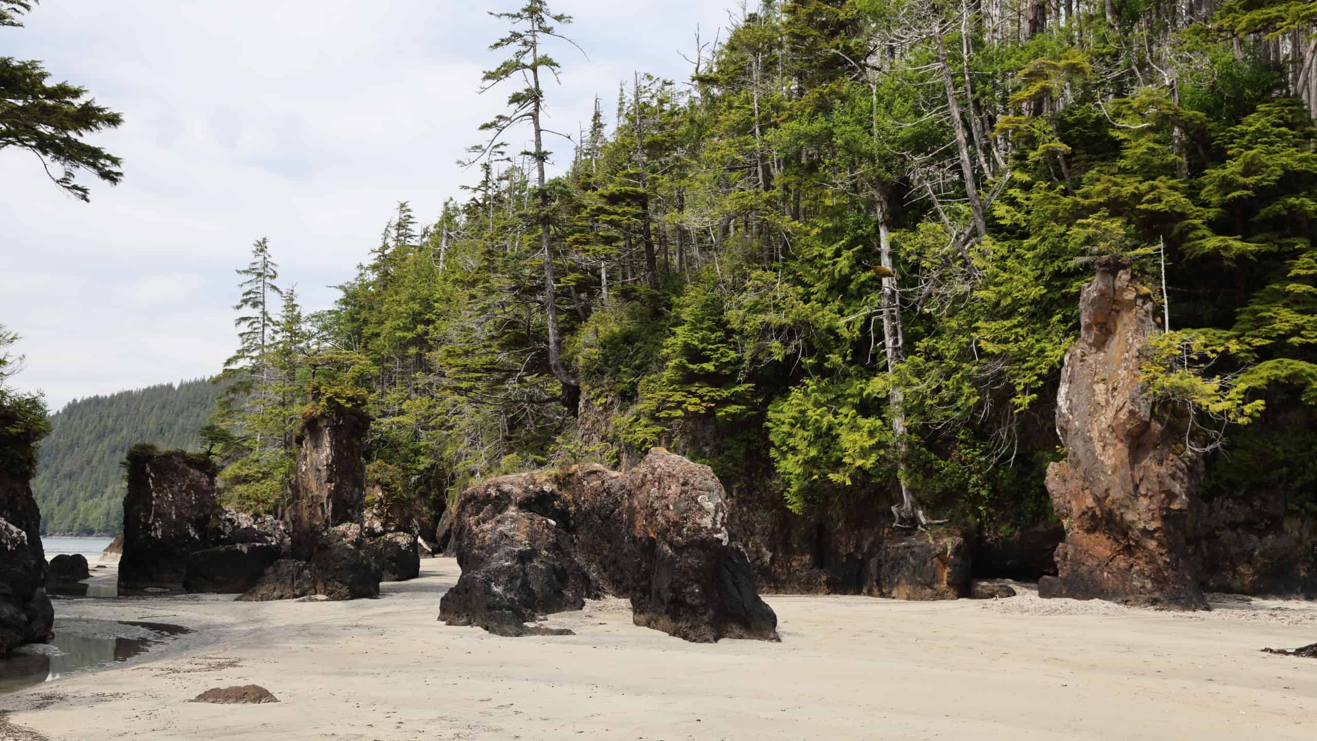 Cape Scott Provincial Park - Sea Stacks at San Josef Bay (Vancouver Island) Canada