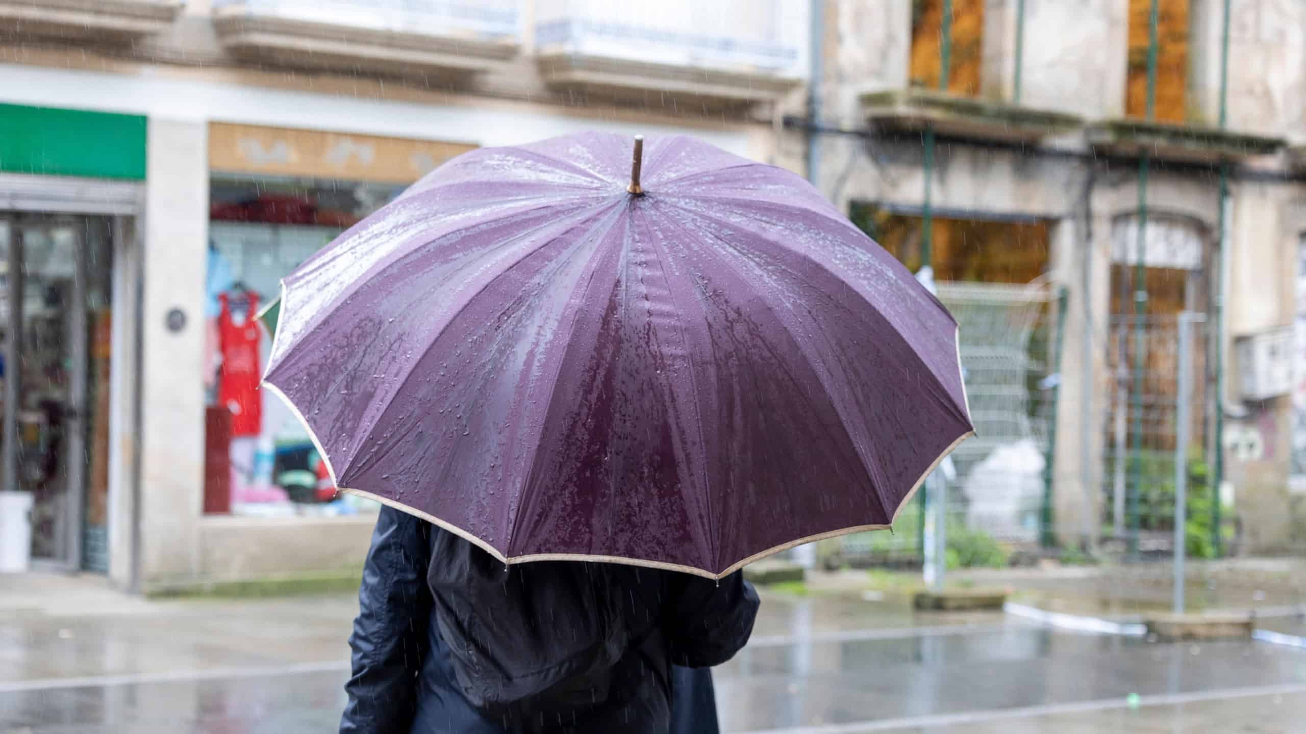 A person is seen from behind holding a large purple umbrella, shielding from the rain on a wet city street with shops in the background