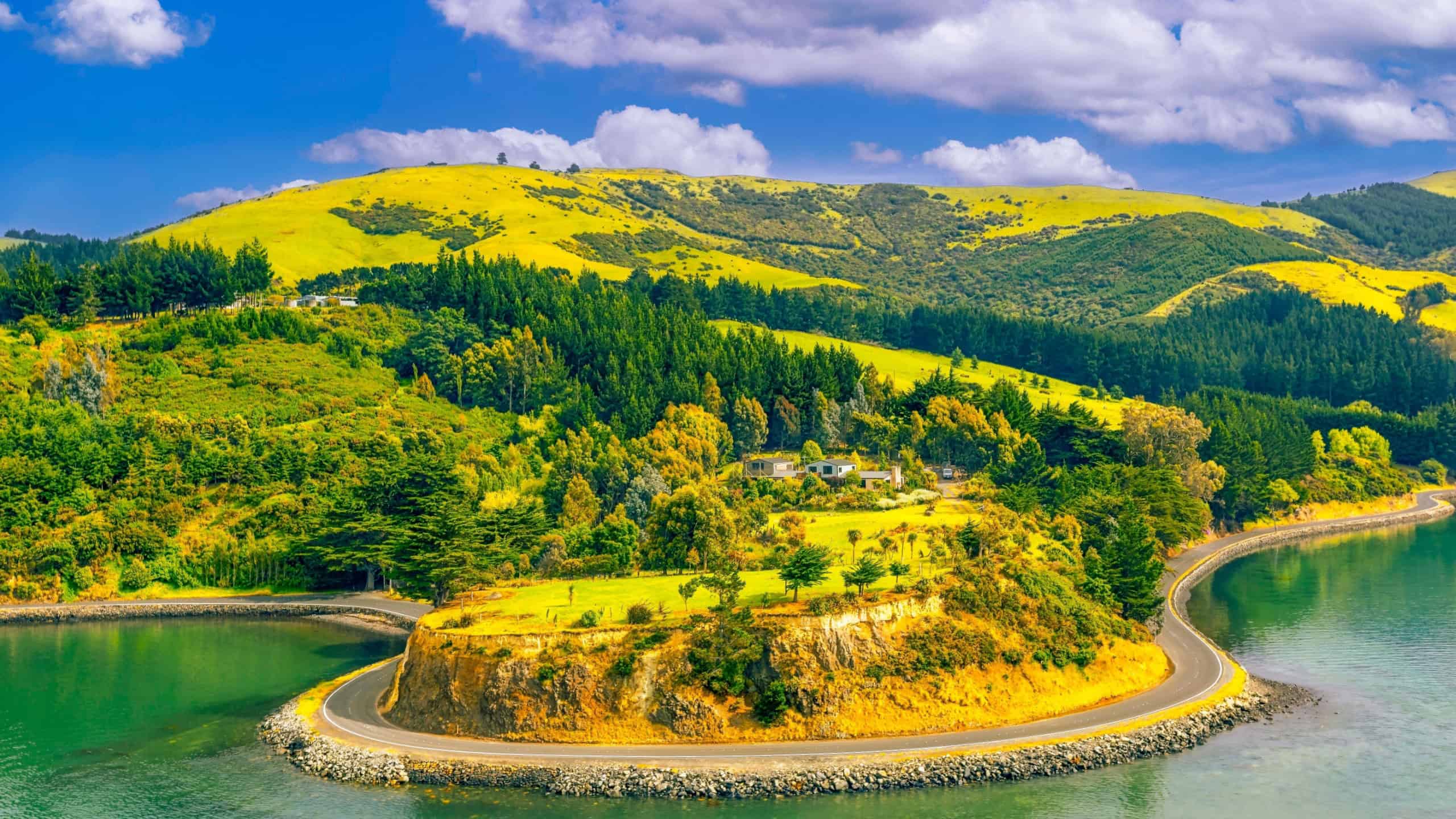 A seascape landscape of Dunedin Bay, New Zealand