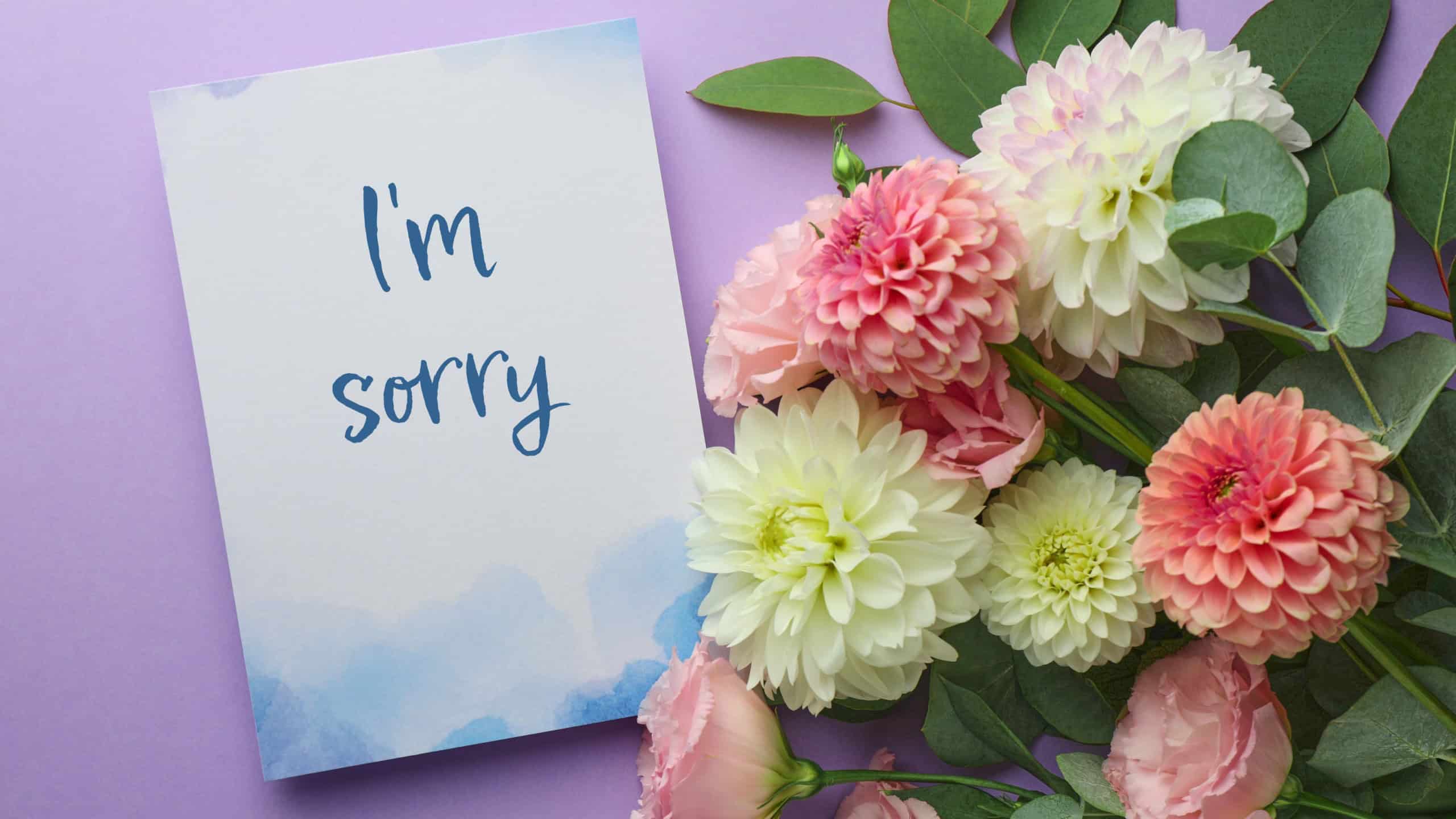 Sorry card and beautiful flowers on violet background, top view