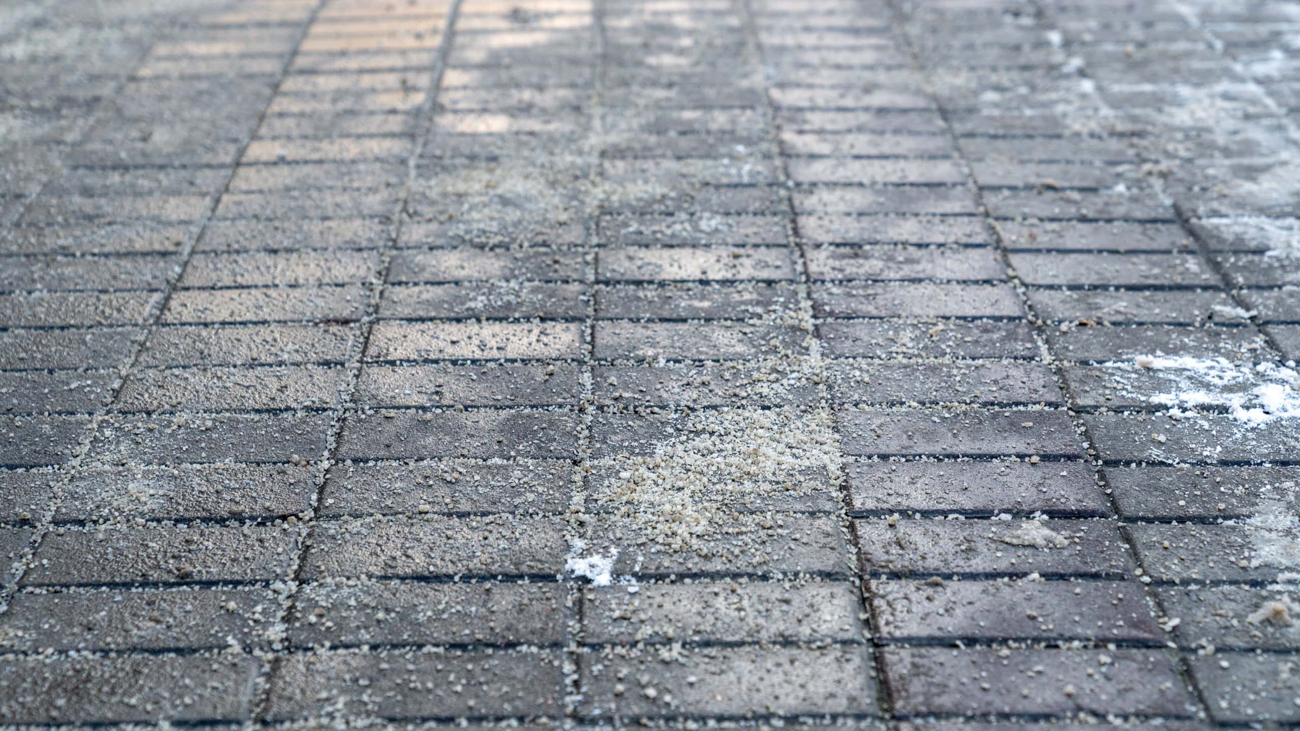 Deicing chemicals on pavement in winter. Salt grains on icy sidewalk, paving slab with rock salt in cold season. Slippery road sprinkled with technical salt and calcium. Prevent slipping concept
