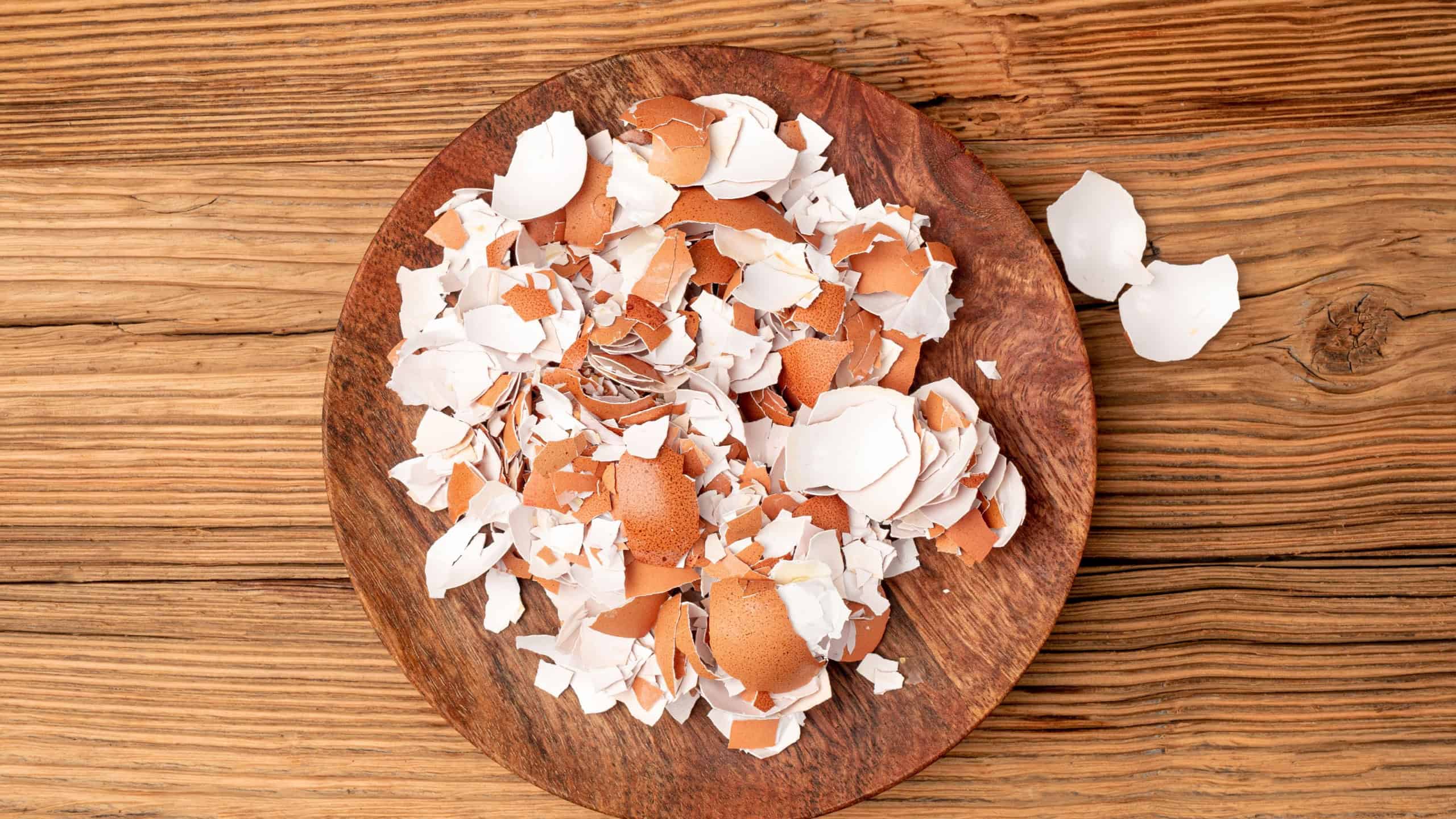 Broken Egg Shell in Bowl, Crushed Eggshell, Calcium Supplement, Cracked Eggshells, Natural Compost Ingredient, Broken Egg Shells on Wood Table Background Top View