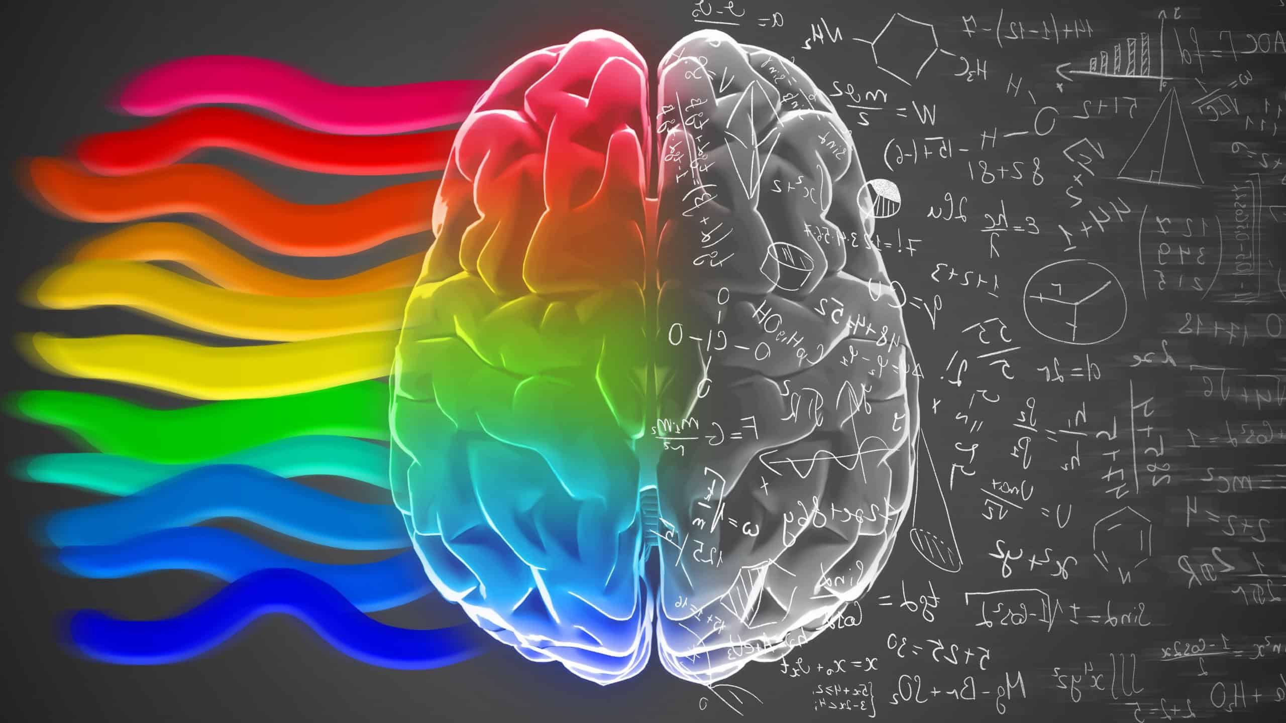 Right and left hemisphere of brain with mathematical formulas and colorful stripes. Creative and logical halves of human mind.