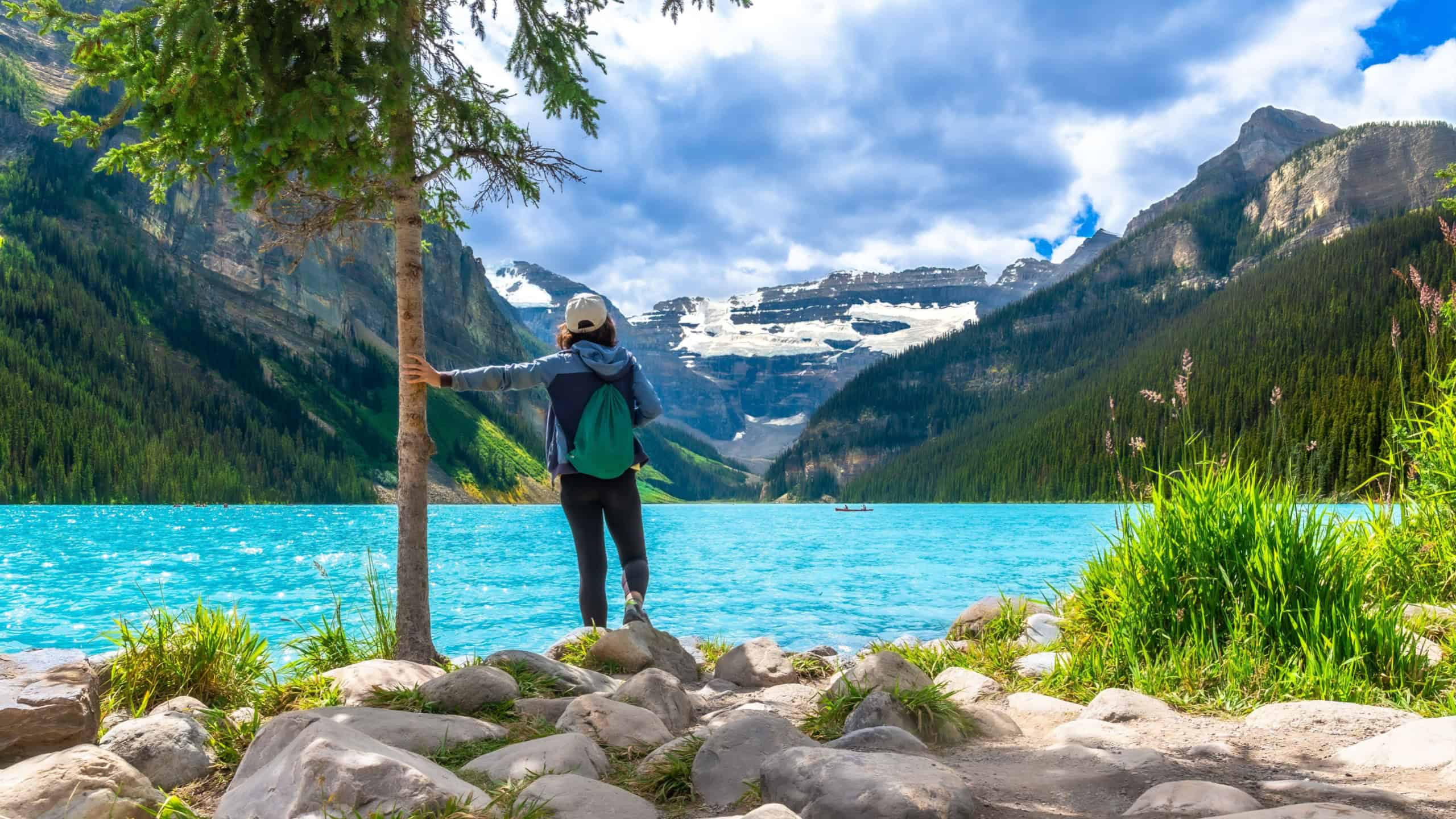 Female tourist standing by a tree on the rocky shore of turquoise lake louise, admiring the stunning view of surrounding mountains and glaciers in banff national park