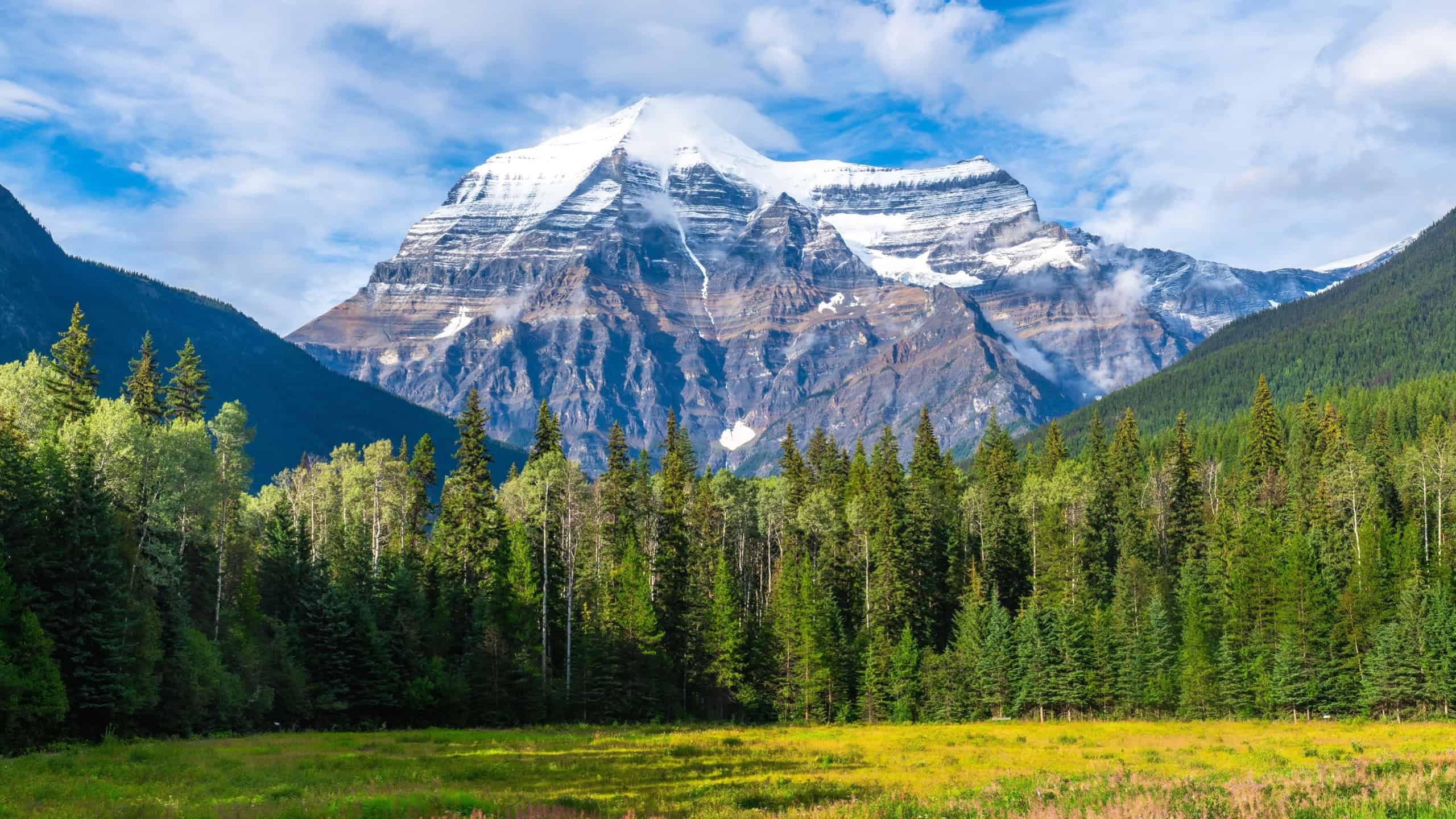 Majestic mount robson rises above a lush green forest and meadow, creating a breathtaking panorama of the canadian rockies in british columbia, canada, on a sunny day with scattered clouds