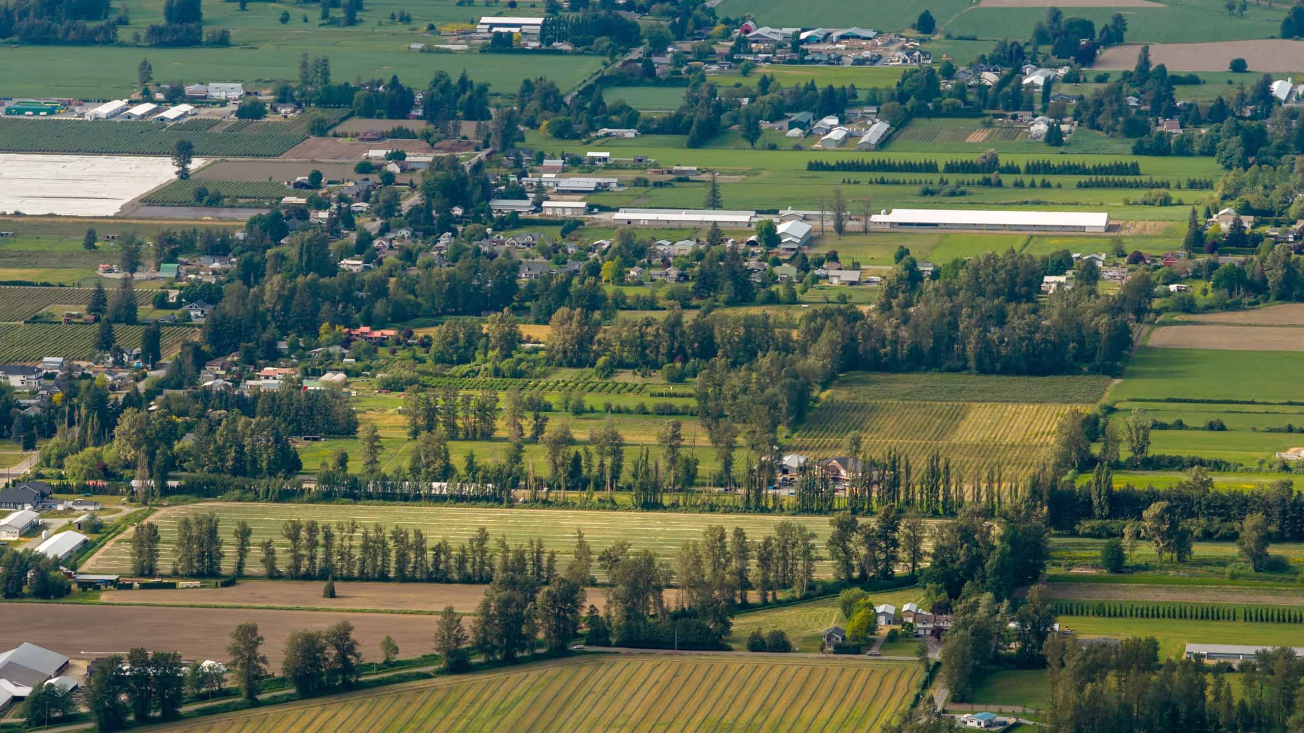Aerial panorama of Chilliwack farmland and rural community showing fields, orchards, farms and green landscape in British Columbia, Canada.