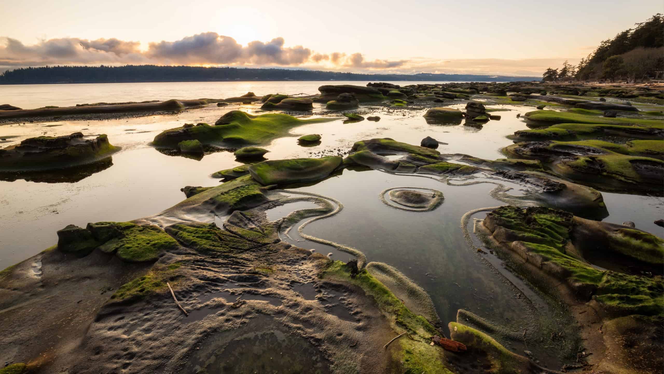 Beautiful nature landscape view on a rocky shore during a sunny winter day. Picture taken in Hornby Island, British Columbia, Canada.