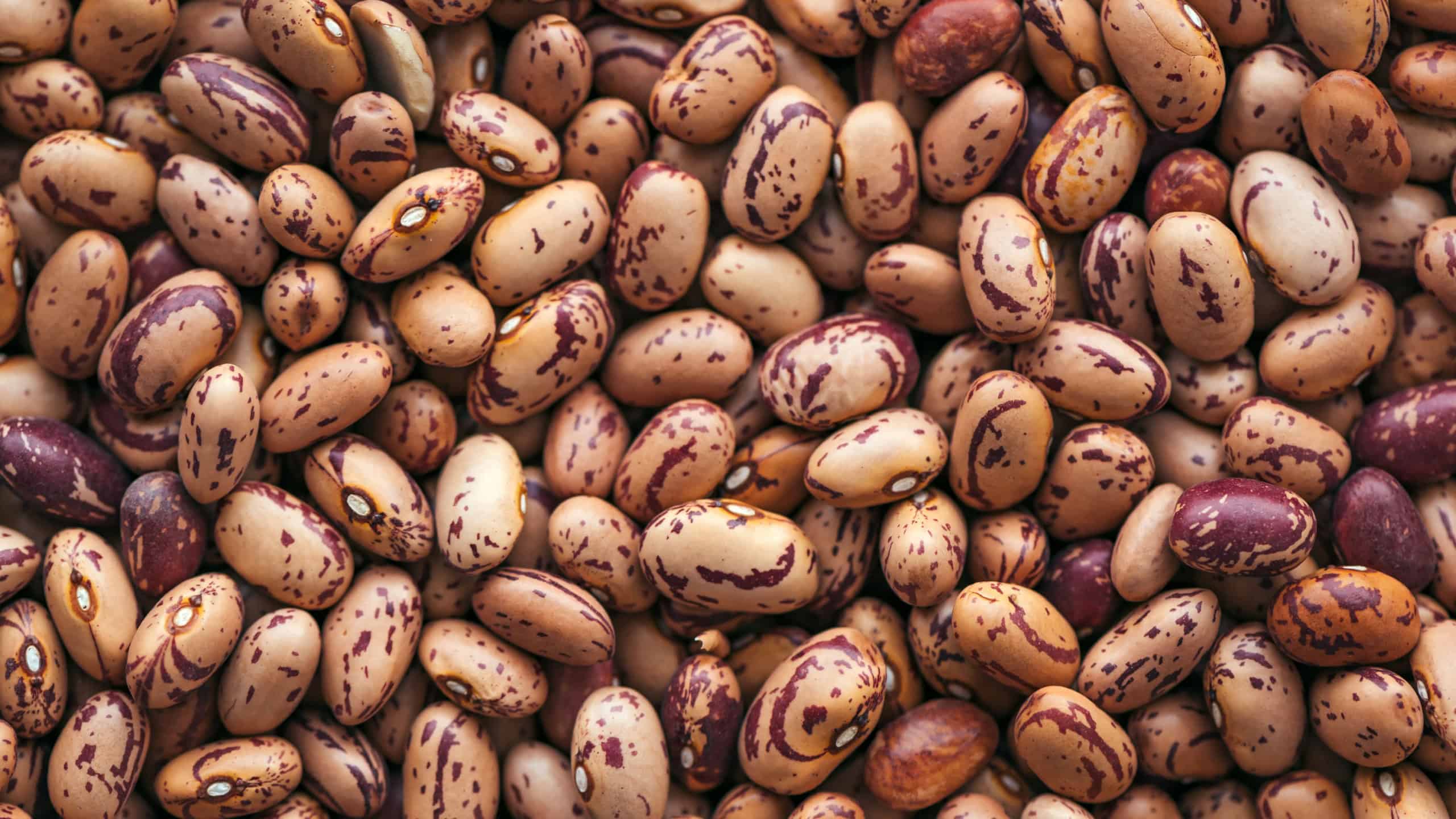 Pinto bean from above, top view of healthy legume beans as background or texture