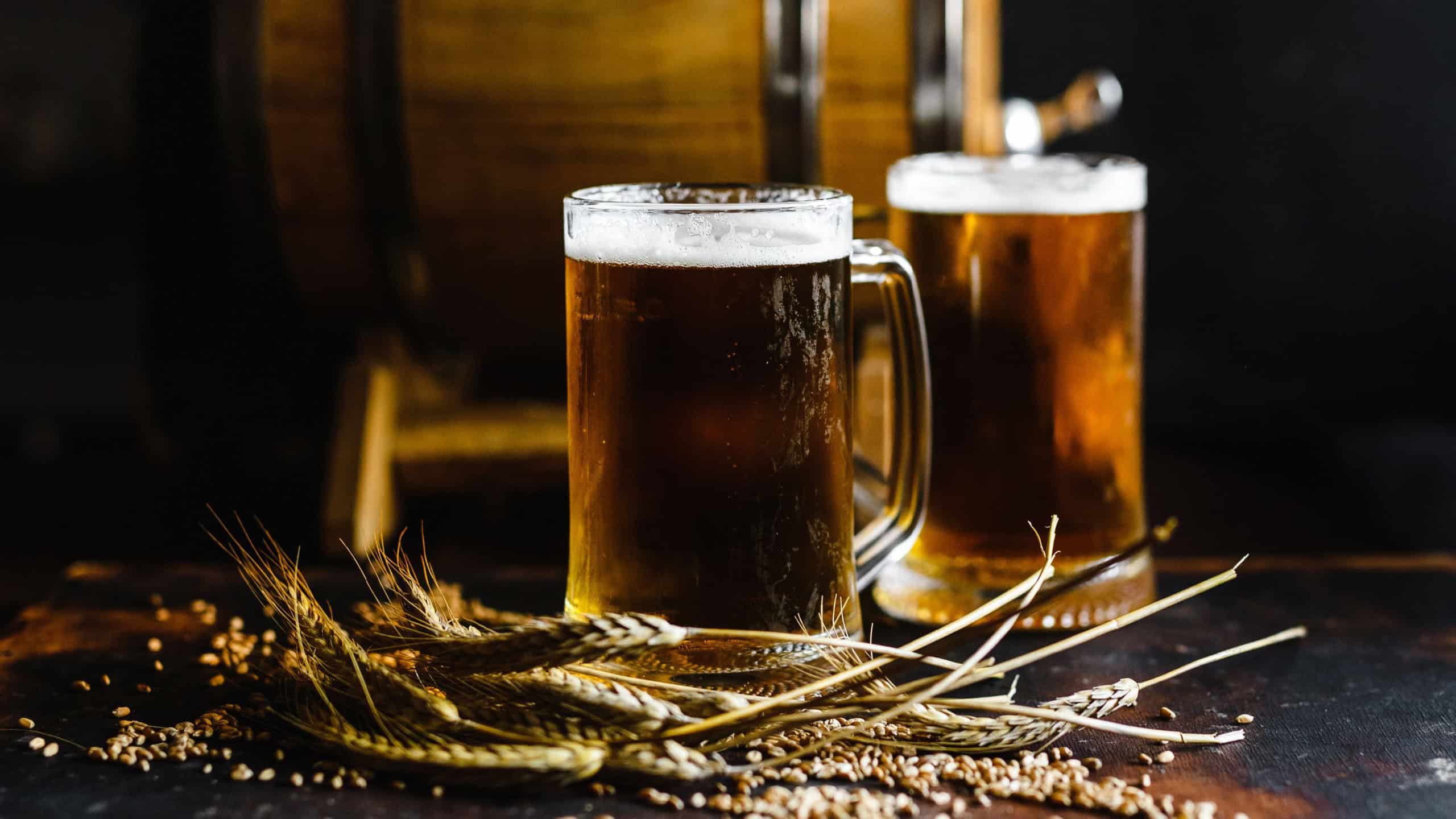 Beer glasses and wheat spice on an old rustic wood table. Selective focus