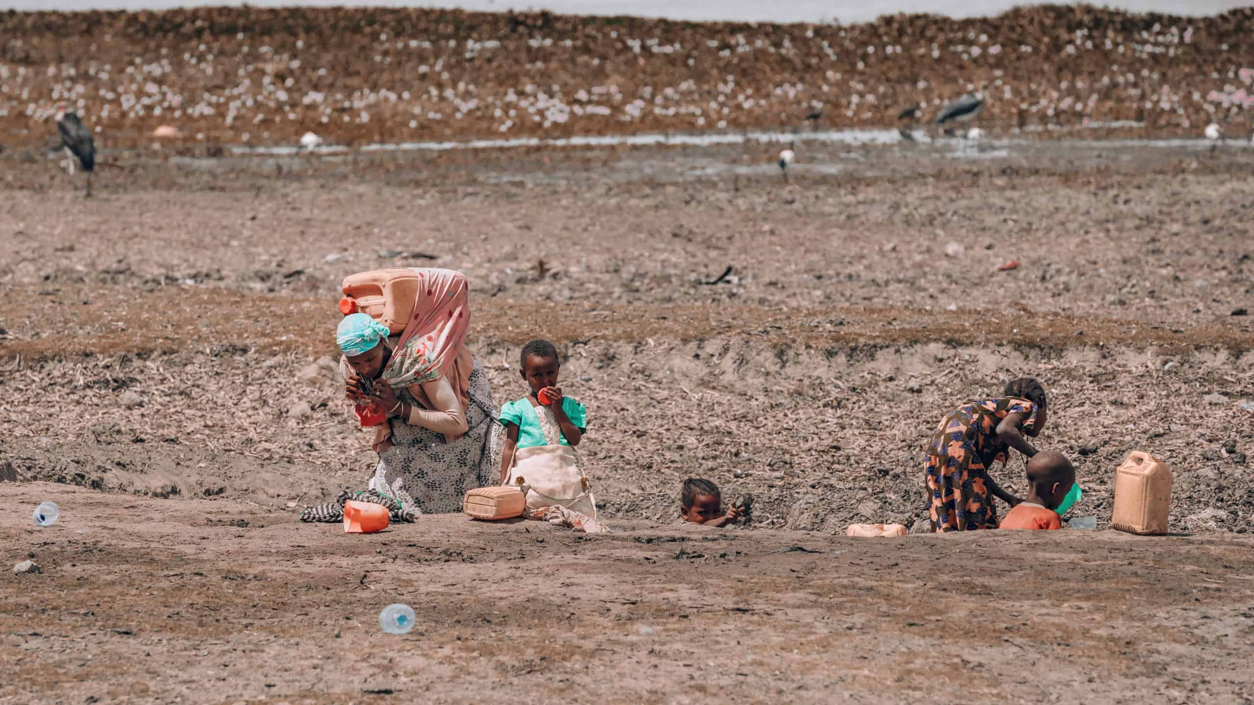 Koka Lake, Oromnia, Ethiopia - May 11, 2019: African woman carries a barrel of muddy rain water from puddles on her back. Lack of water is problem in whole africa