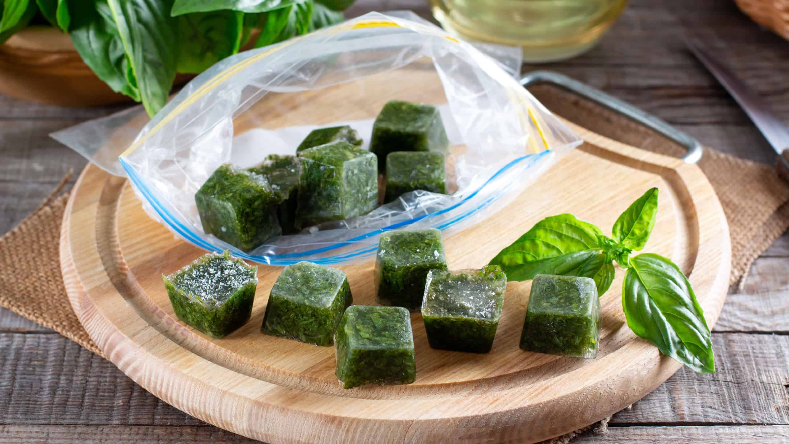Frozen basil leaves (basilius) in ice cubes with fresh basil on a table. Frozen food concept