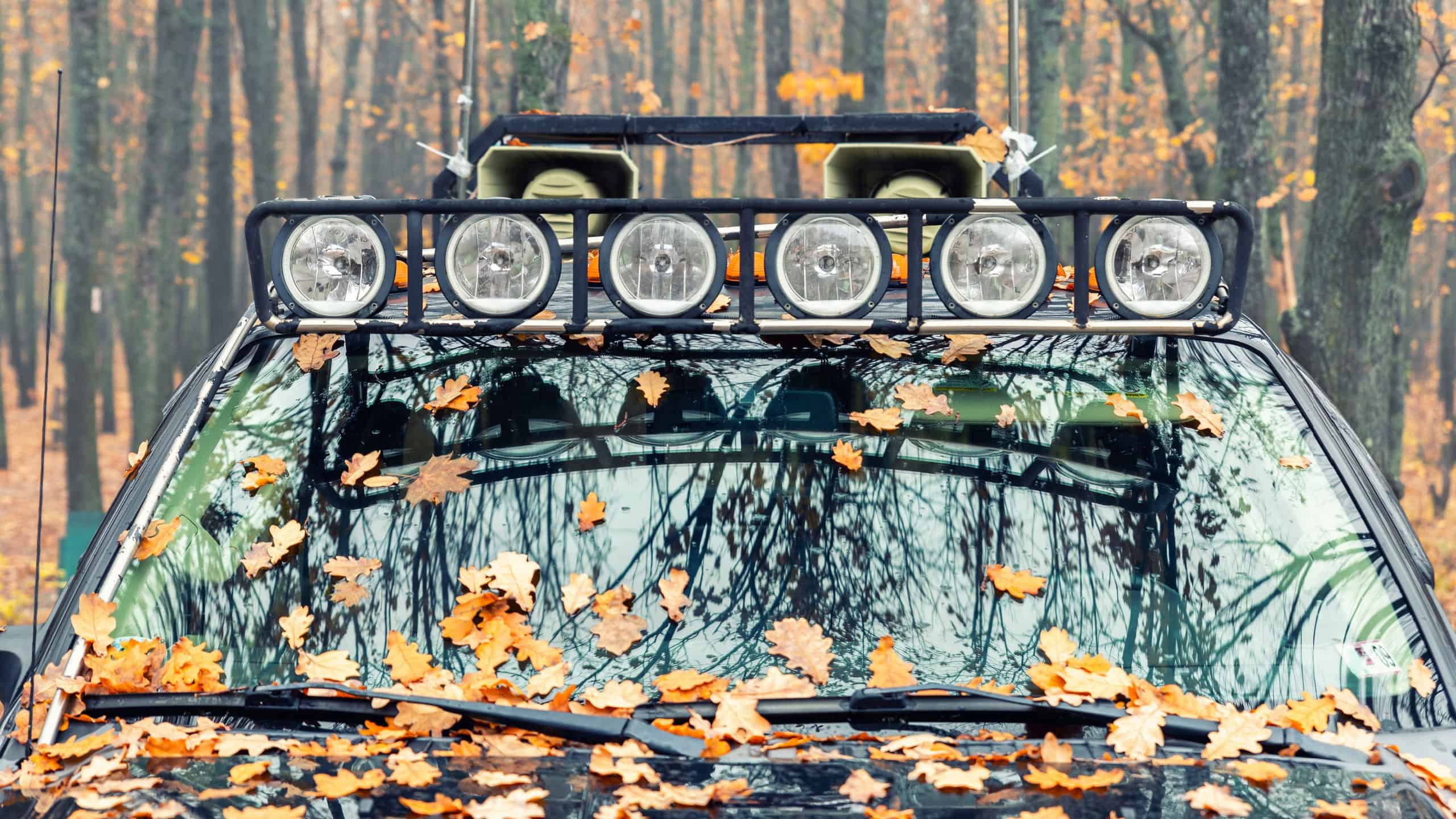 Close-up detail view of custom made roof rack bar with extra headlight mounted on roof of heavy duty pick up suv car against foggy autumn forest. Fallen leaves vehicle windshield. Fall weather drive