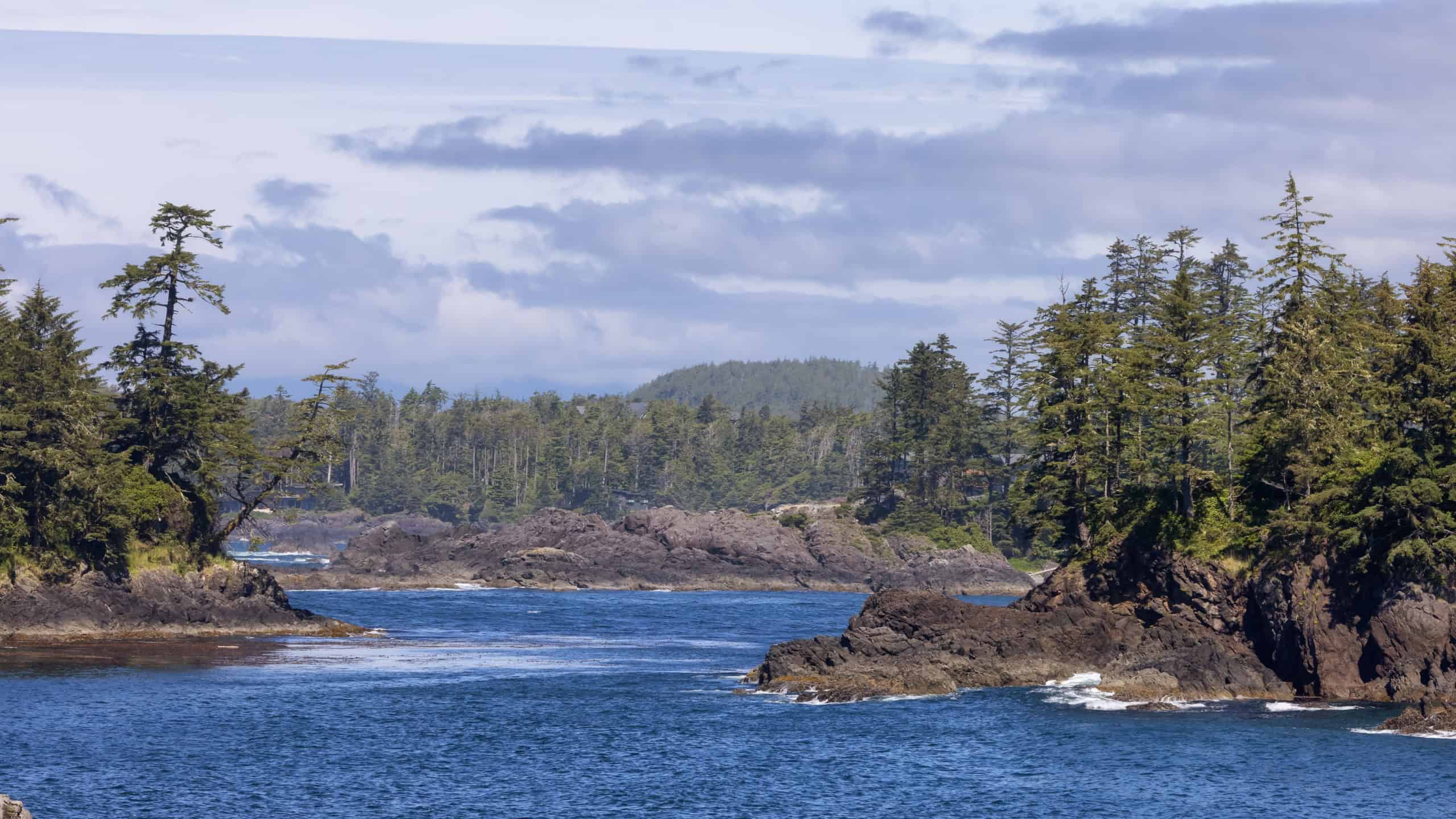 Rugged Rocks on a rocky shore on the West Coast of Pacific Ocean. Summer Morning Sky. Ucluelet, Vancouver Island, British Columbia, Canada. Nature Background