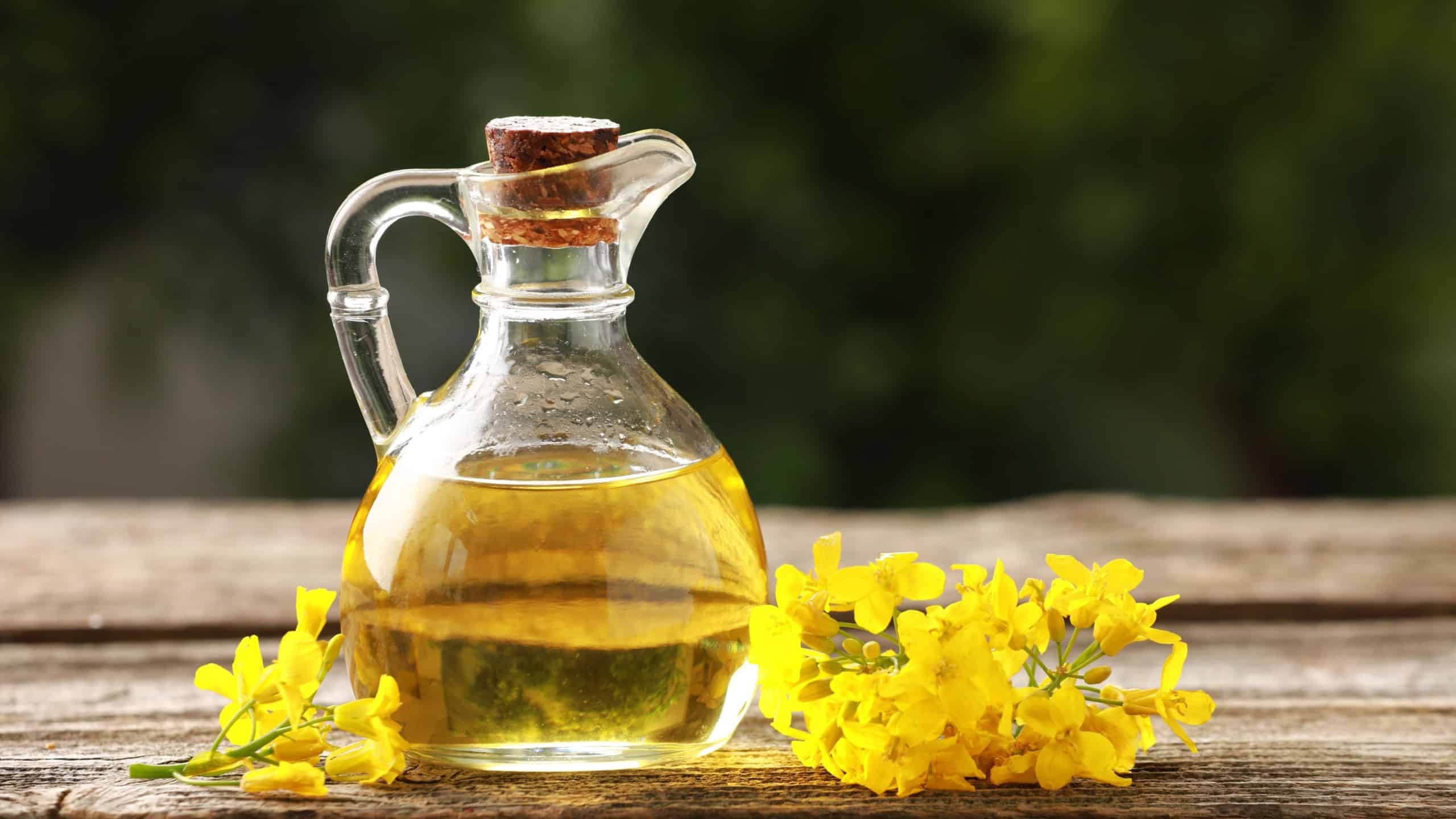 Rapeseed oil in glass jug and beautiful yellow flowers on wooden table outdoors
