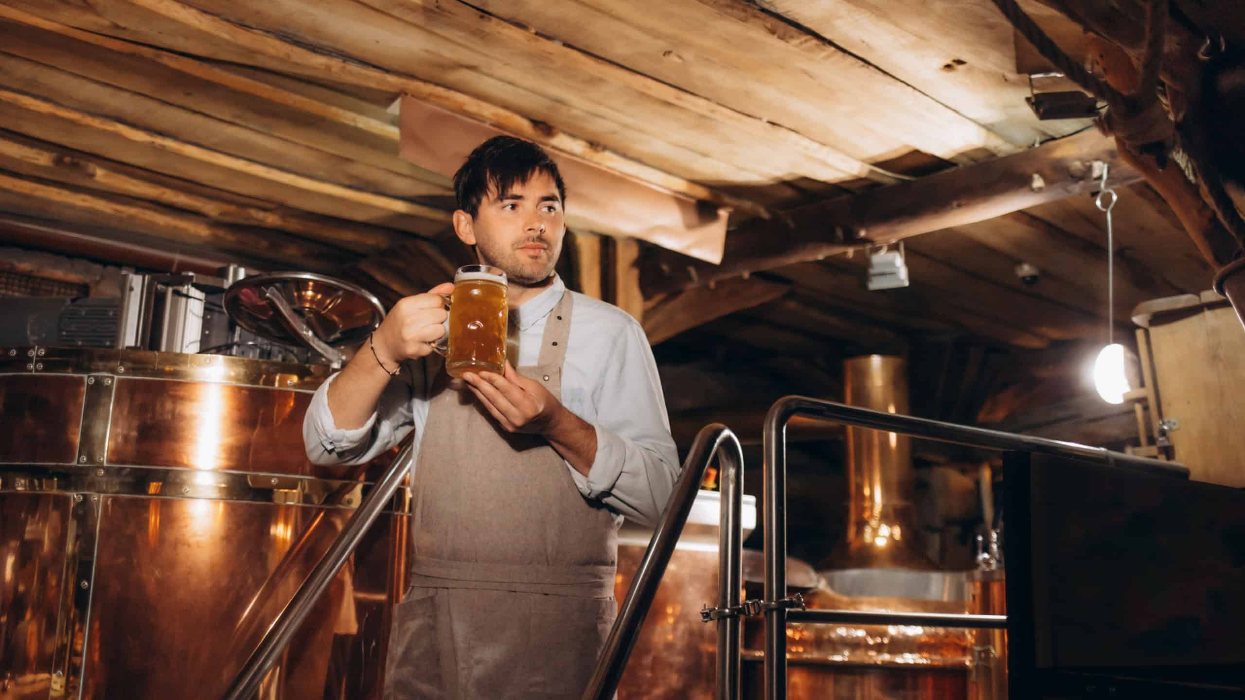 Expert brewer in apron holds glass of craft beer and checking quality and color. Worker man sommeliers taste drink on brewery factory.