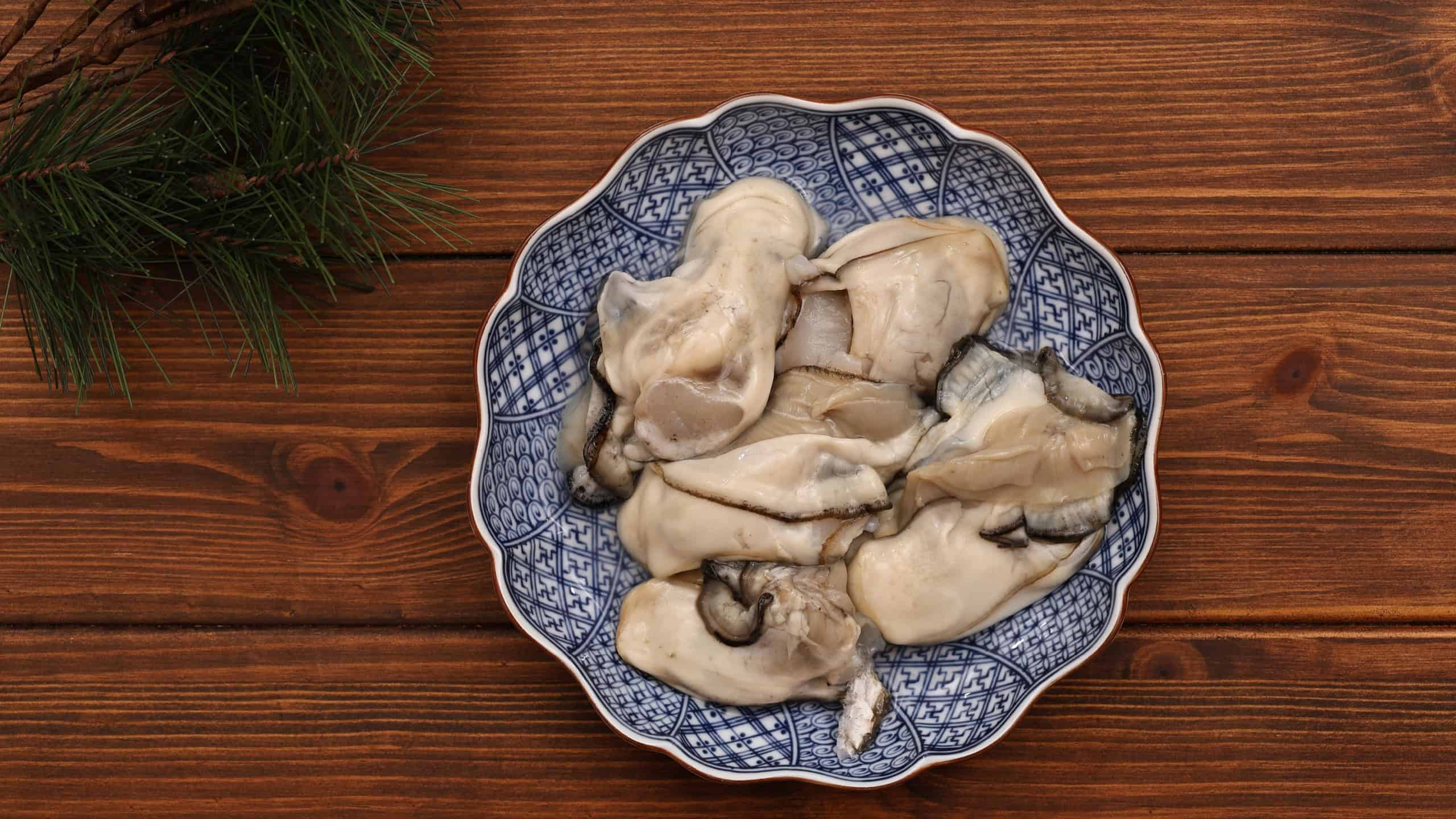 Fresh raw oysters on a plate