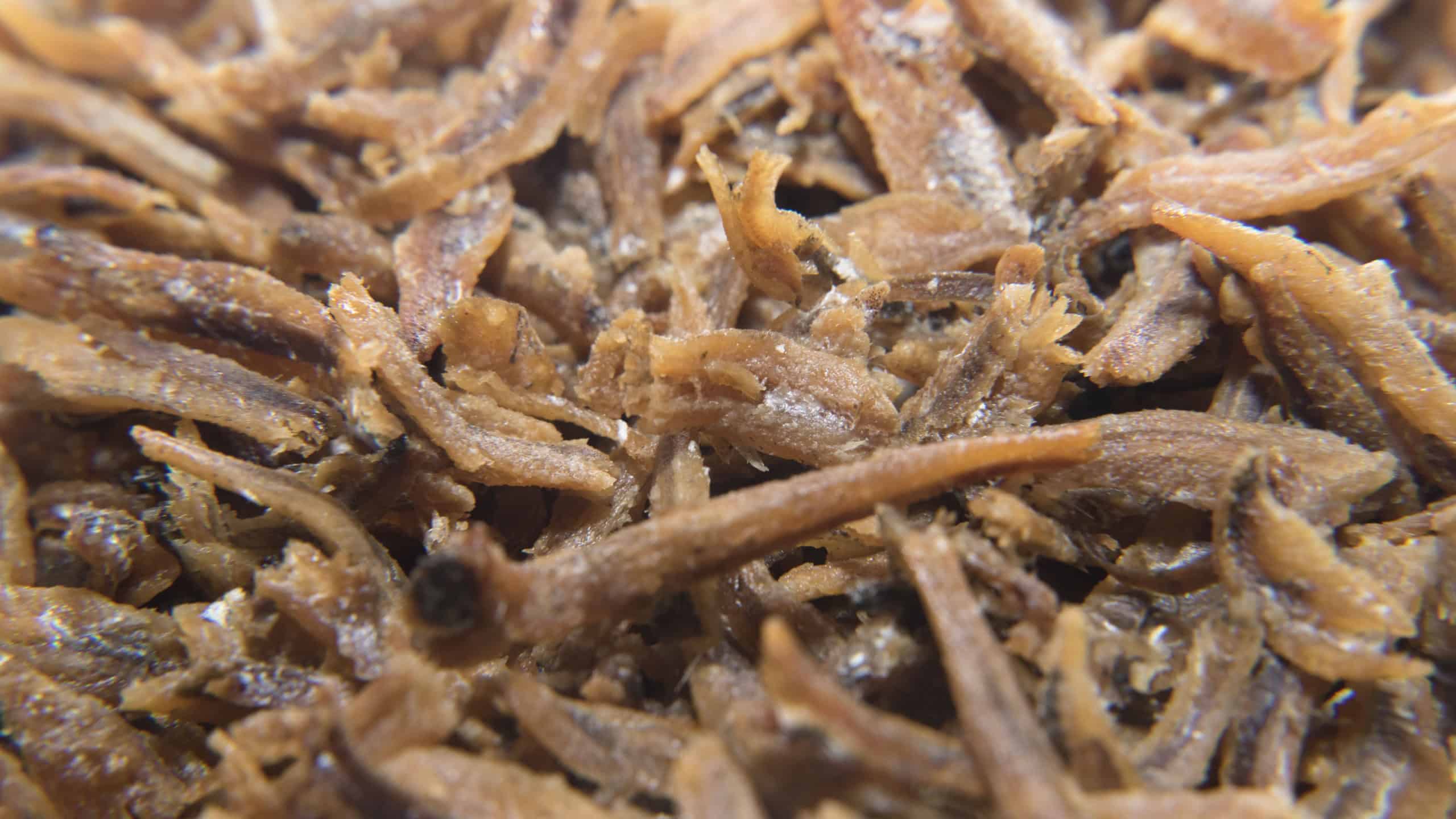 Close up of fried anchovies for background