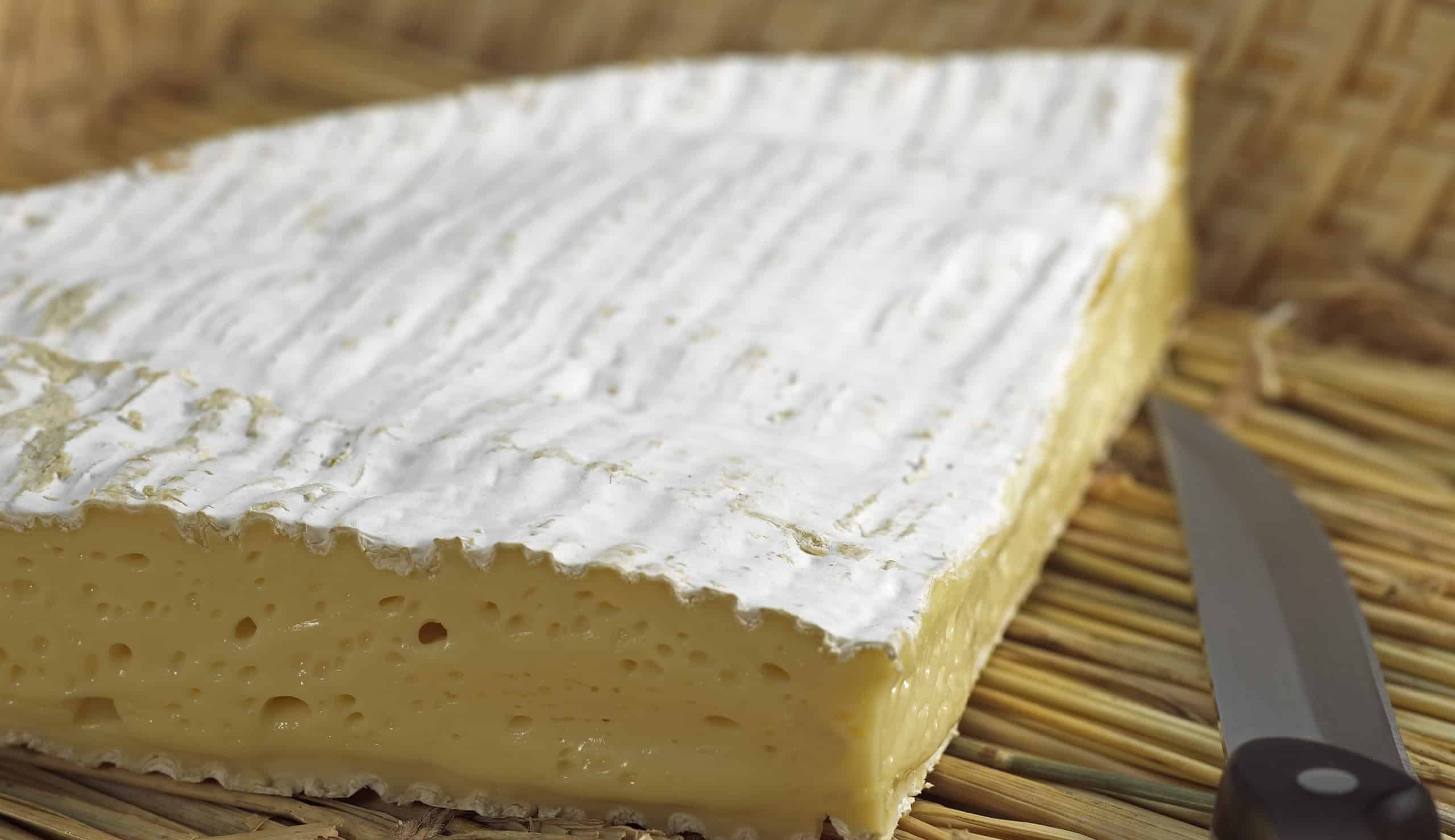 Brie de Meaux, a French Cheese made from Cow's Milk