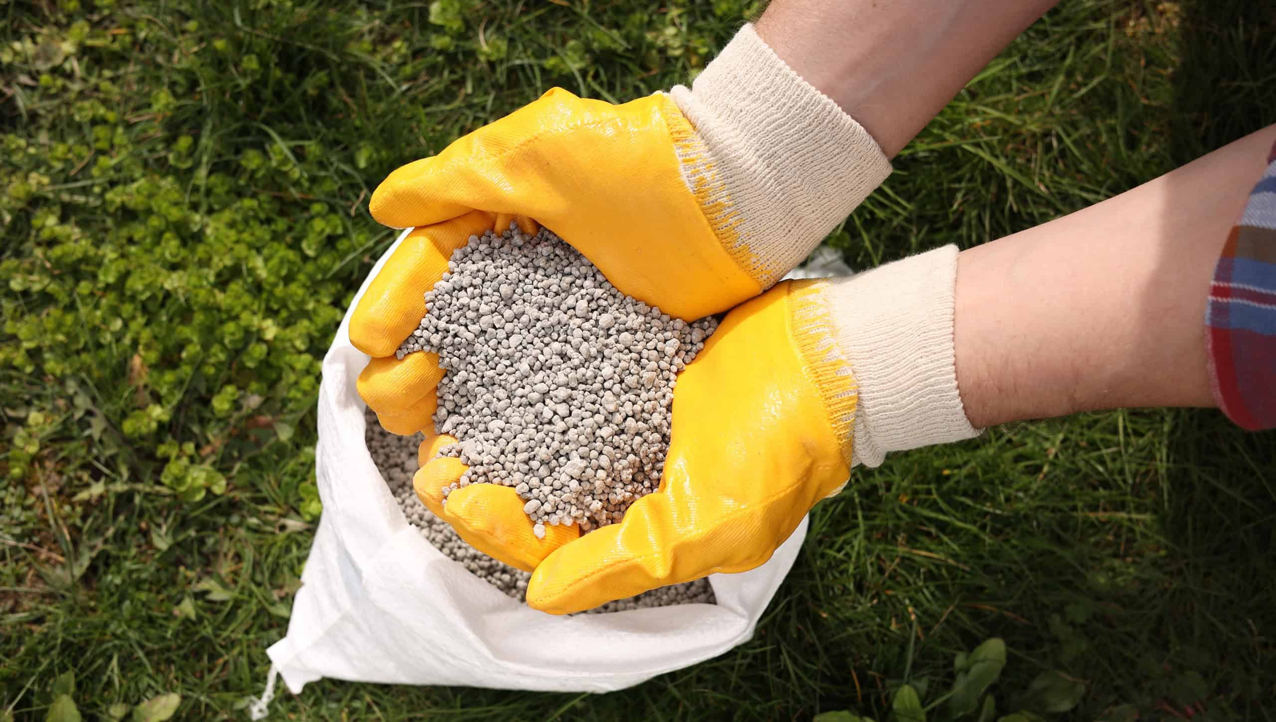 Woman with fertilizer on green grass outdoors, top view
