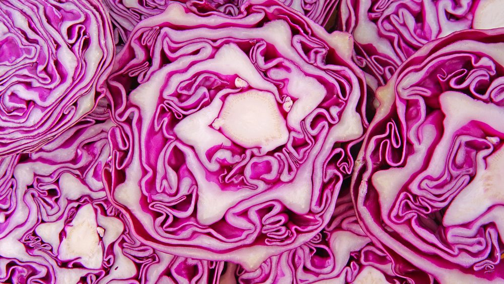 Macro red cabbage detail