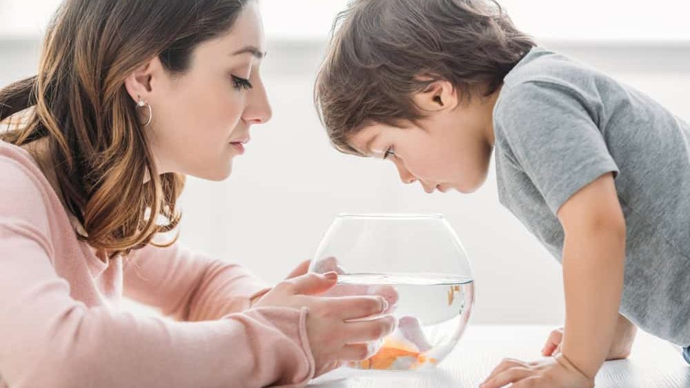 attractive woman with adorable son looking into fish bowl at home